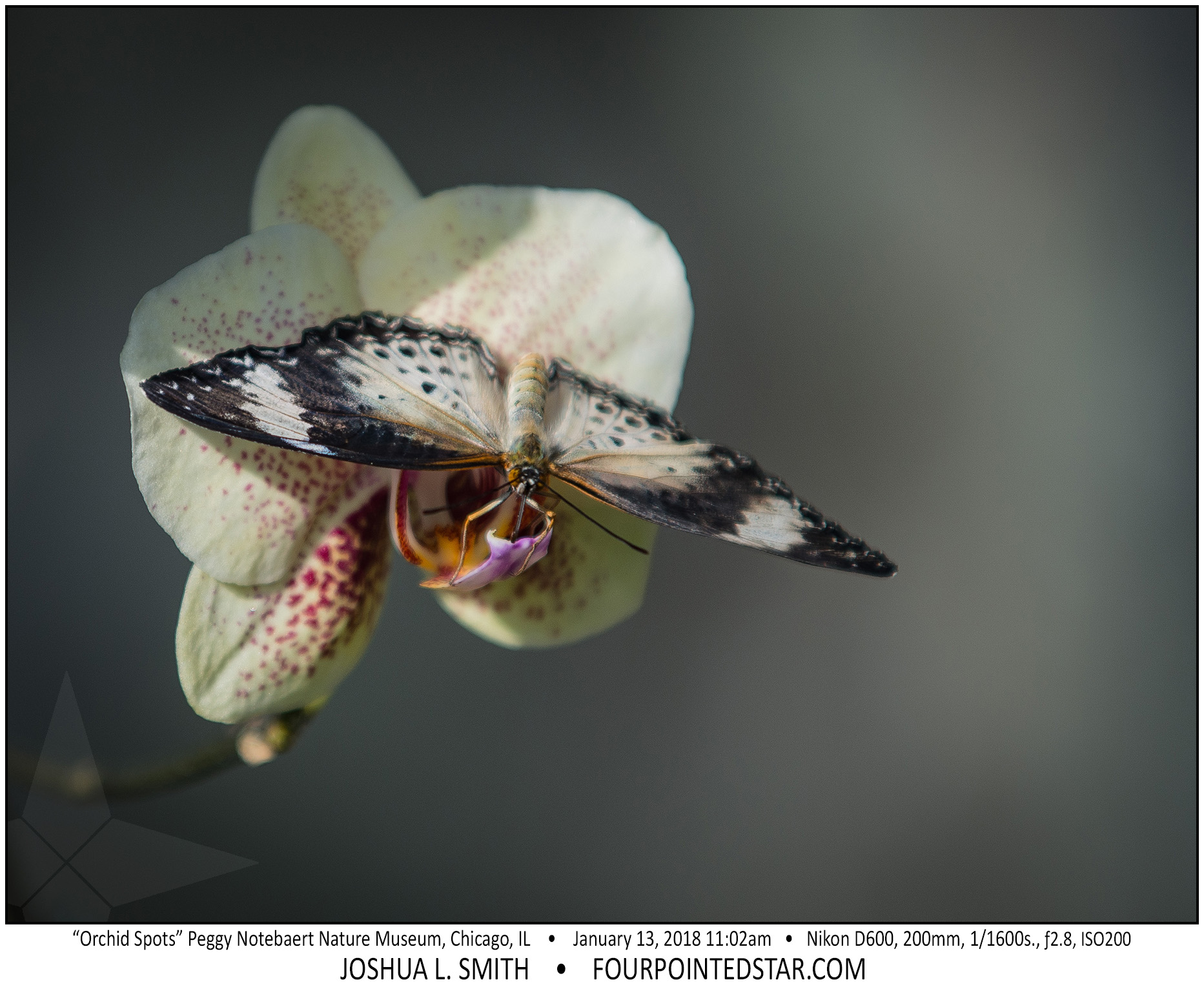 AT6439 180113 110232