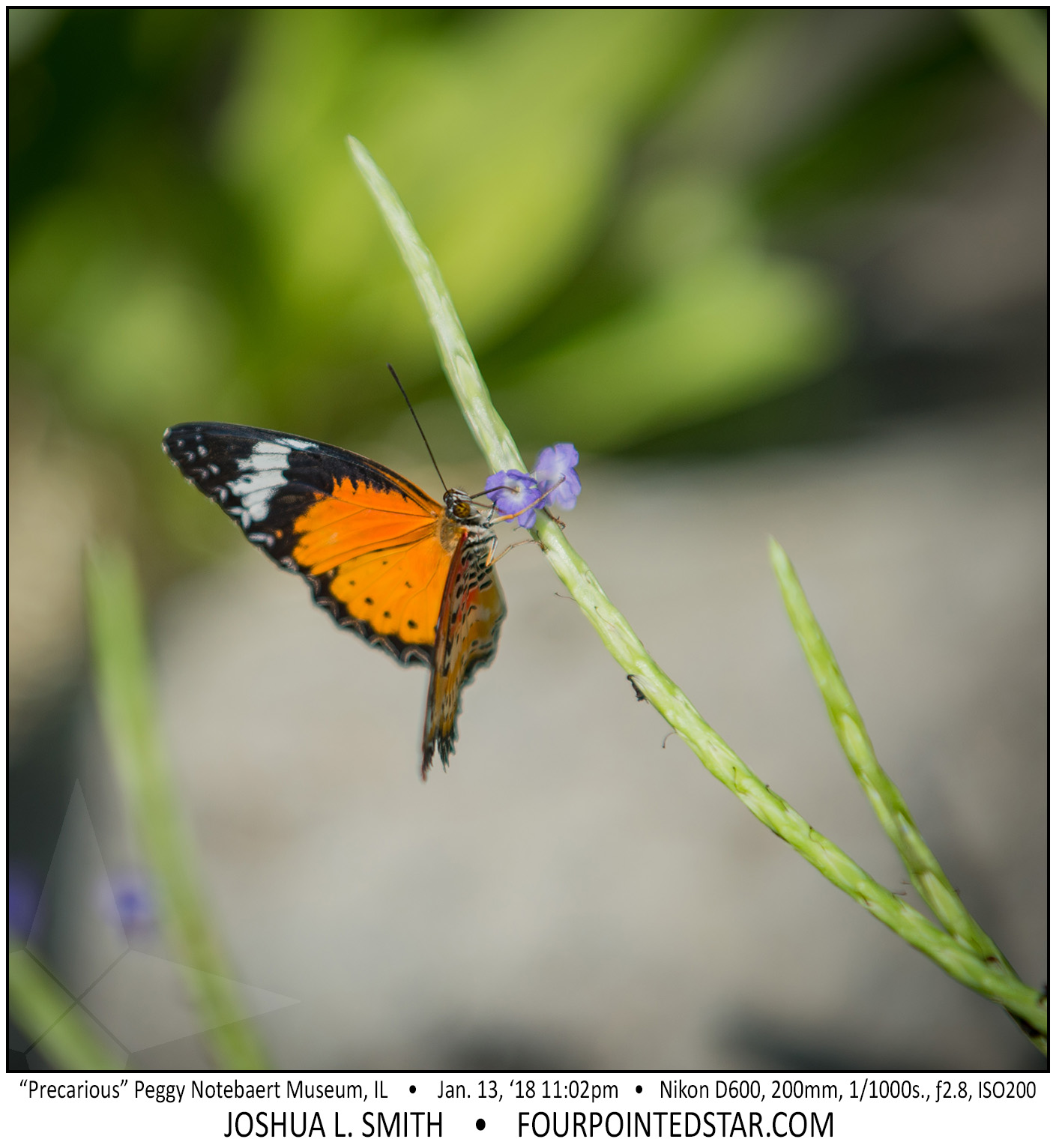 AT6447 180113 110240