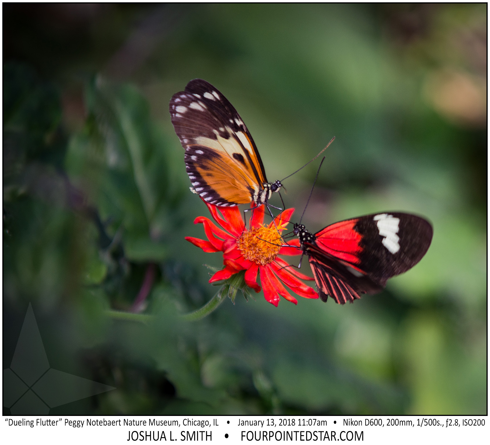 AT6484 180113 110701