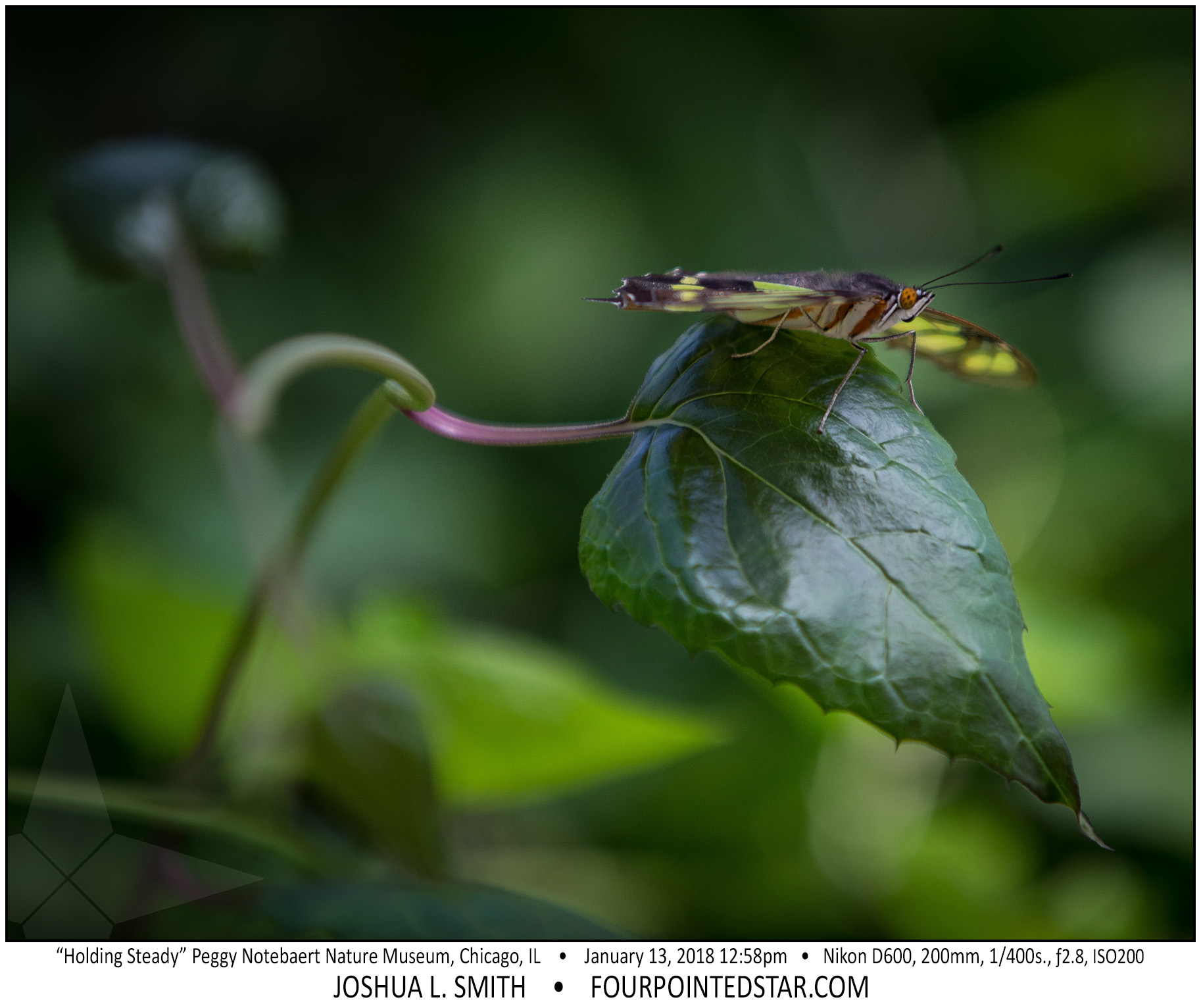 AT6632 180113 125813