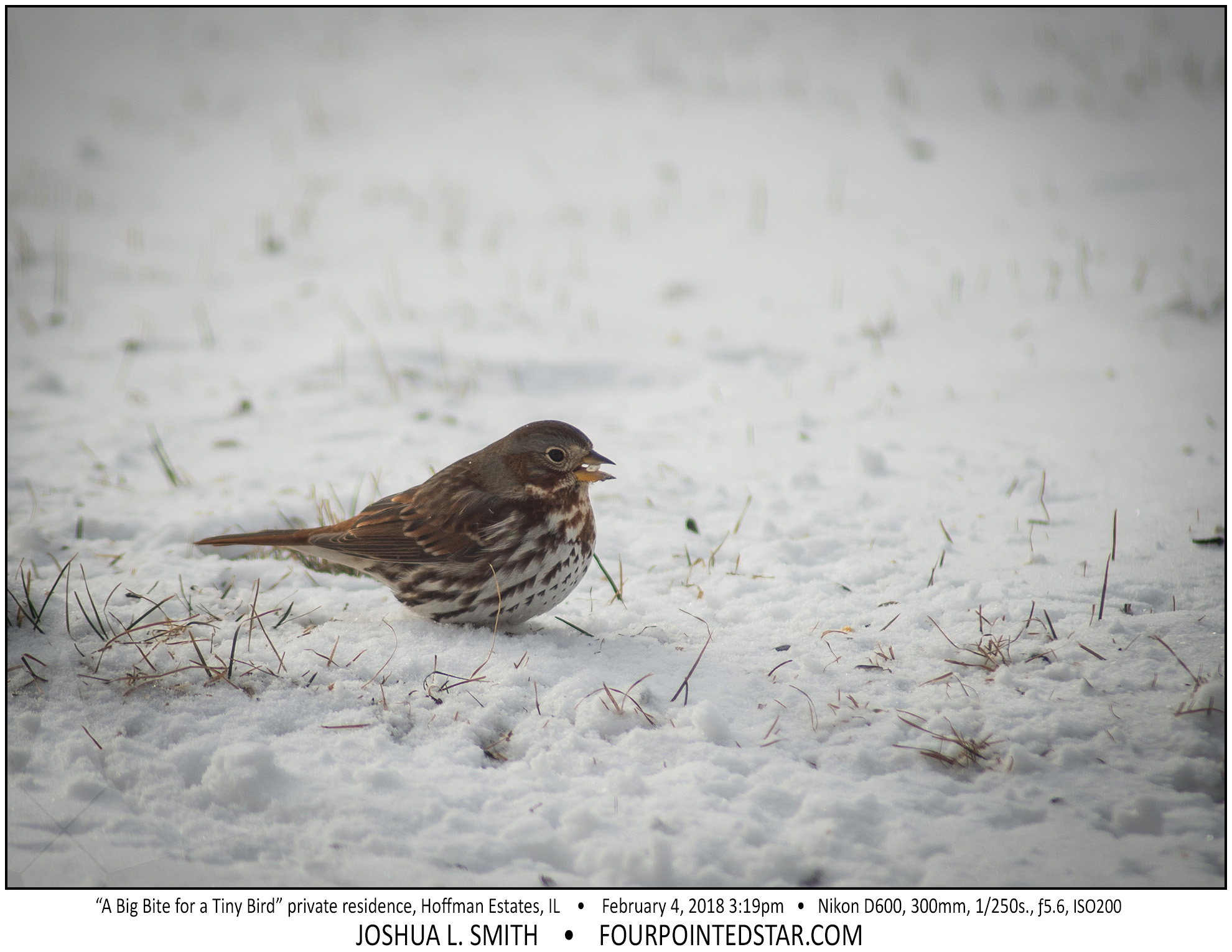 AT7048 180204 101753