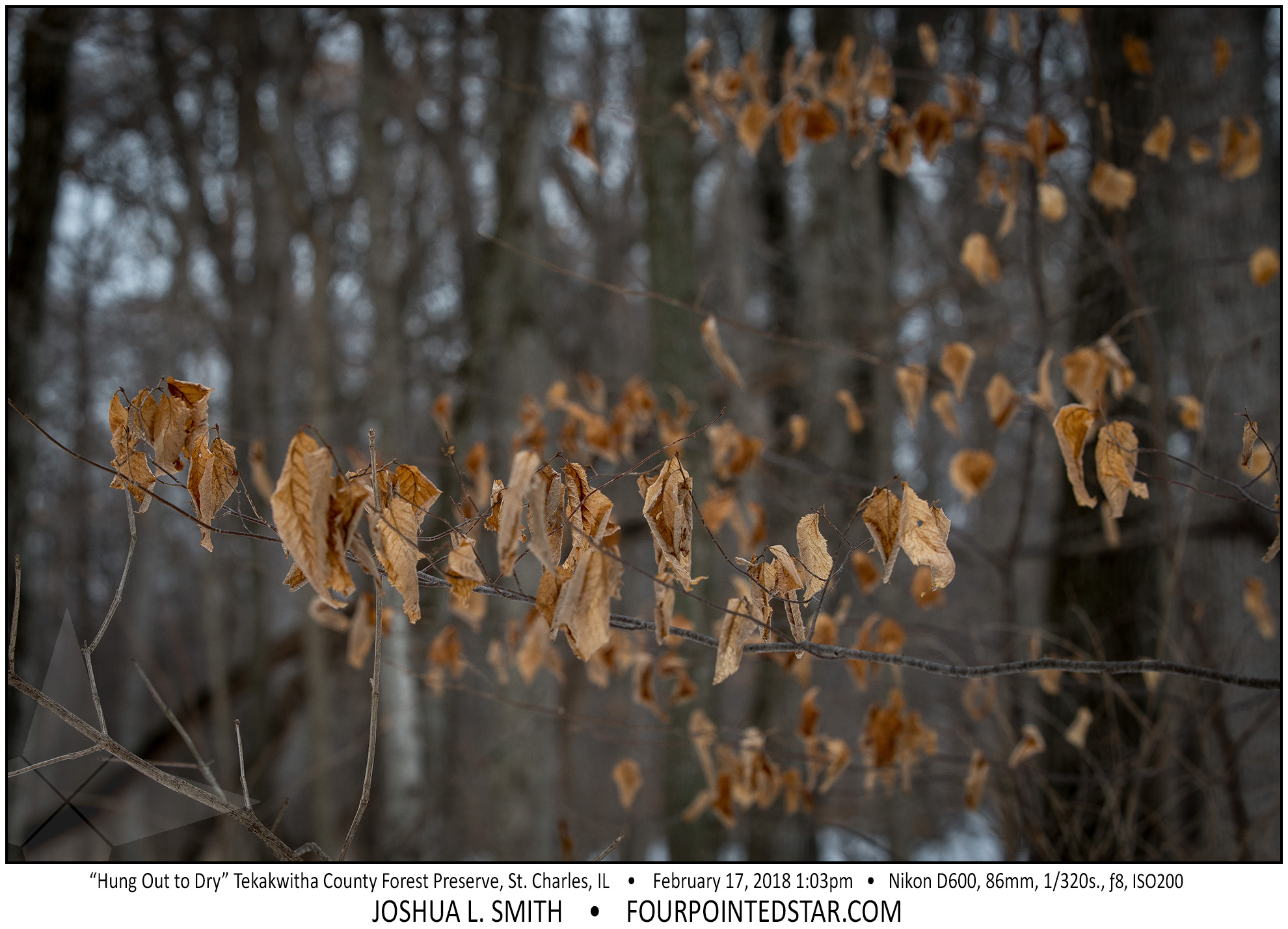 AT7278 180217 130344