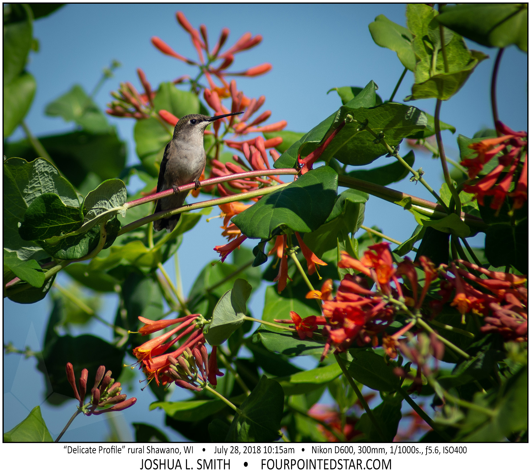 AX4465 180728 101523