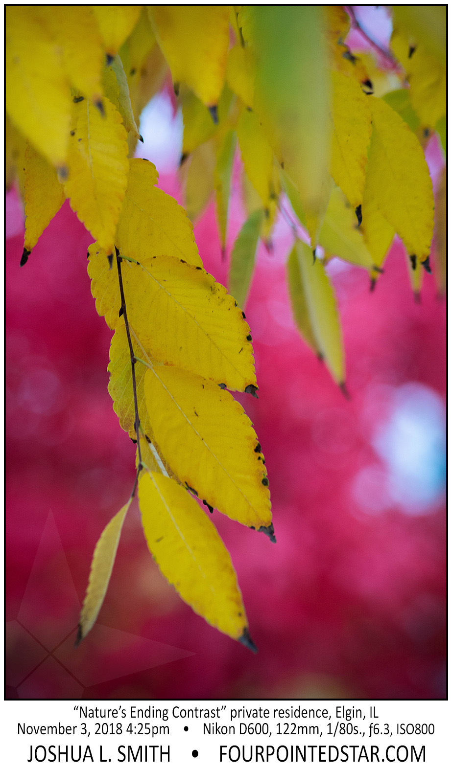 AY1028 181103 162505