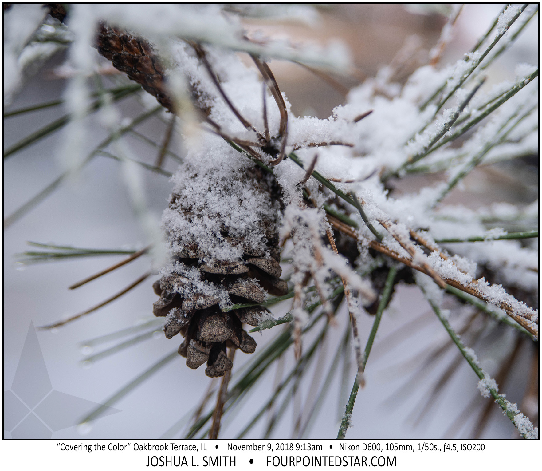 AY1232 181109 211307