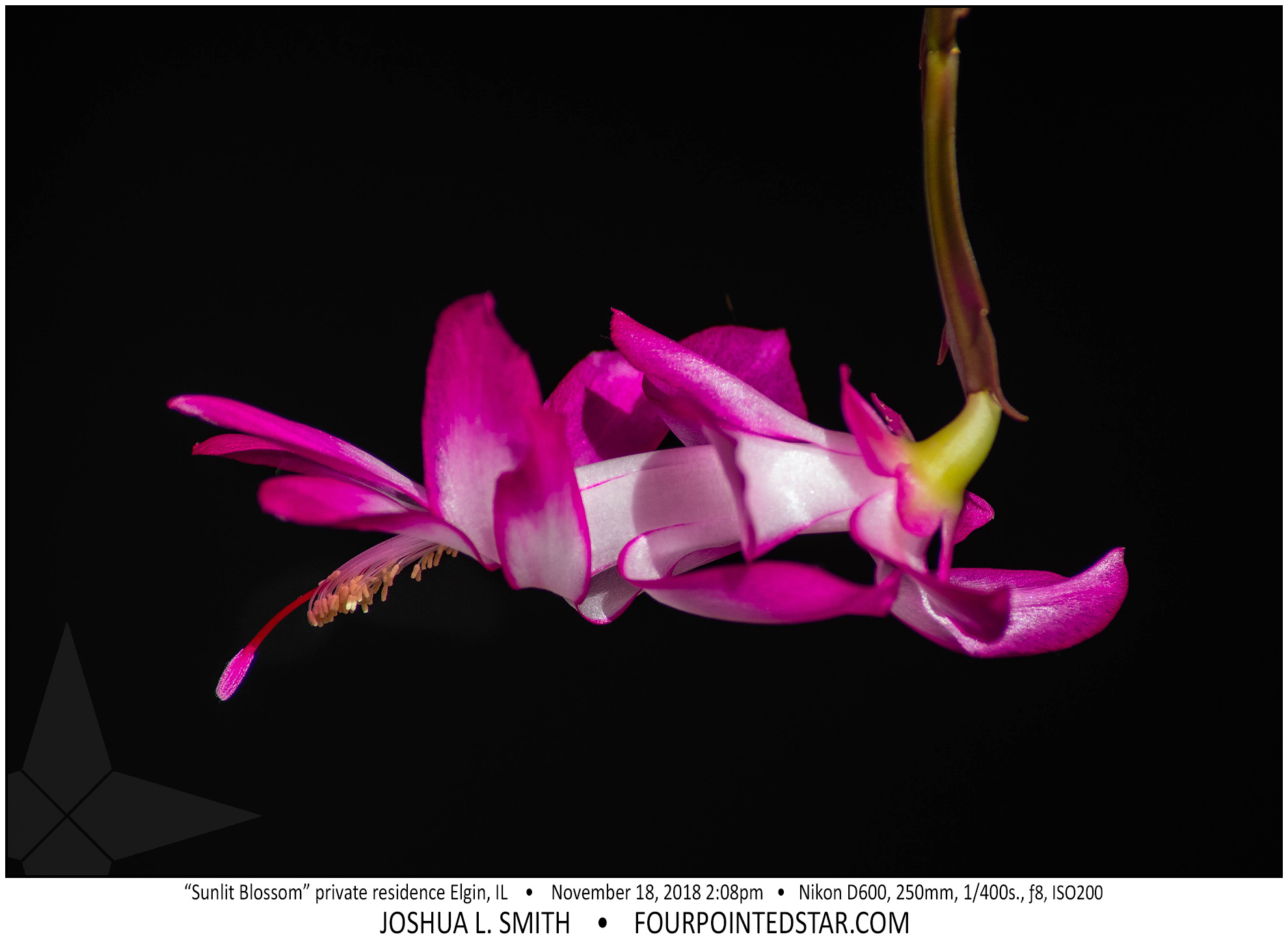 AY1830 181118 140842