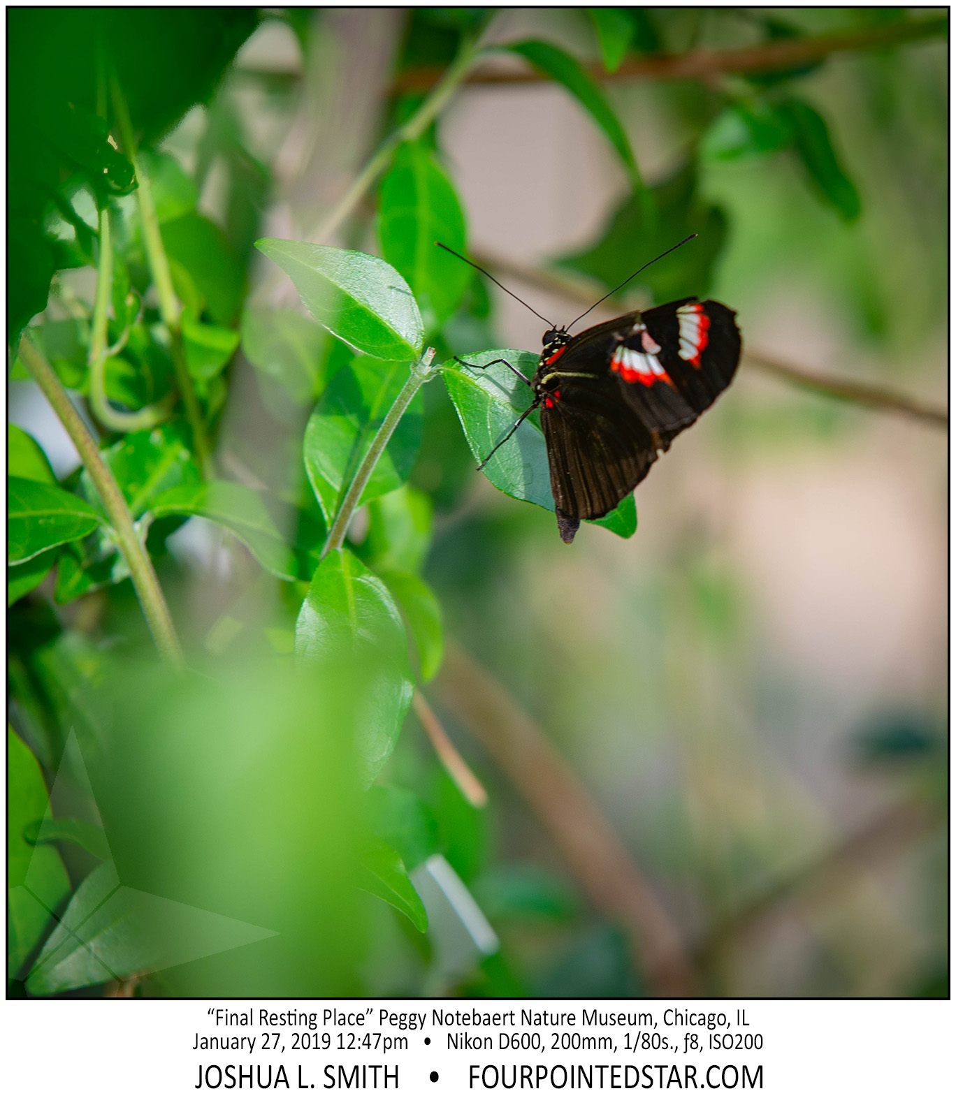 AY4236 190127 124705