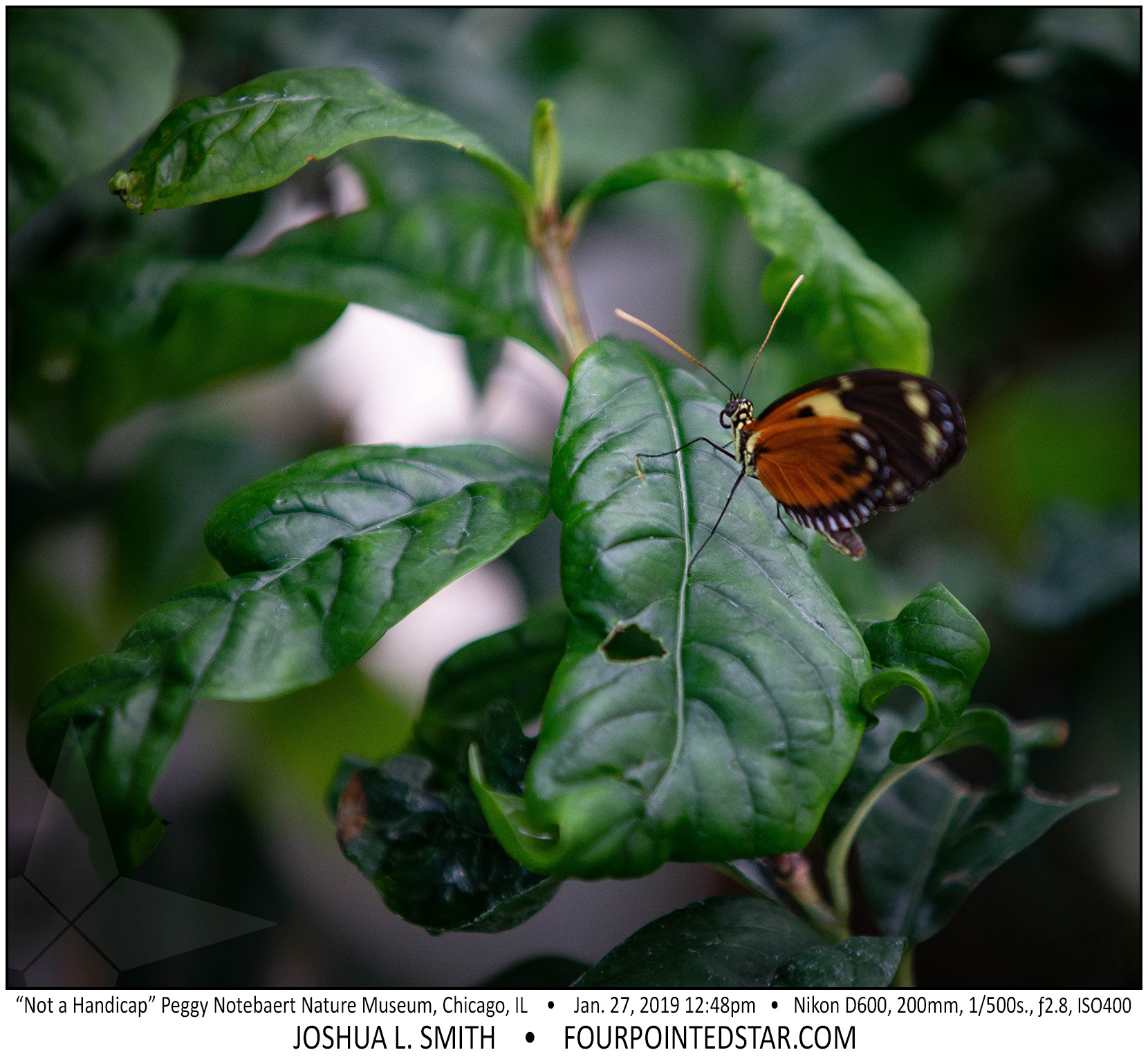 AY4255 190127 124817