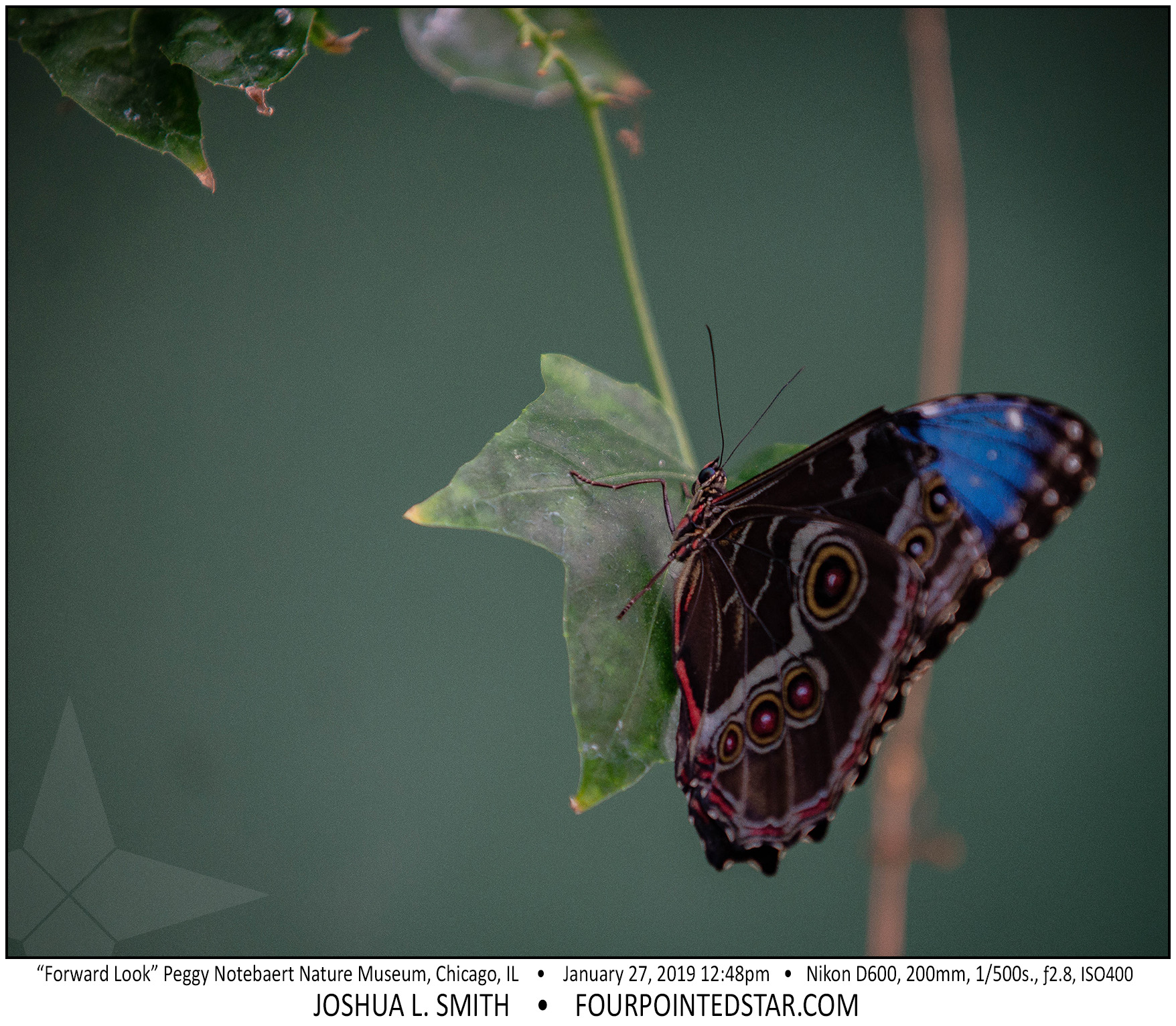 AY4261 190127 124834