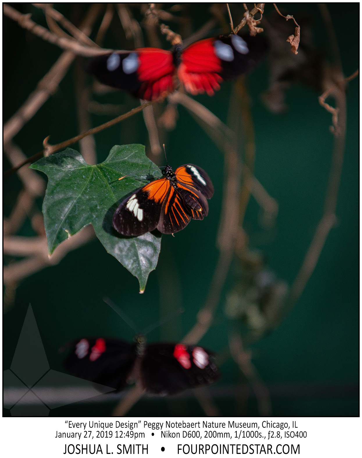 AY4267 190127 124916