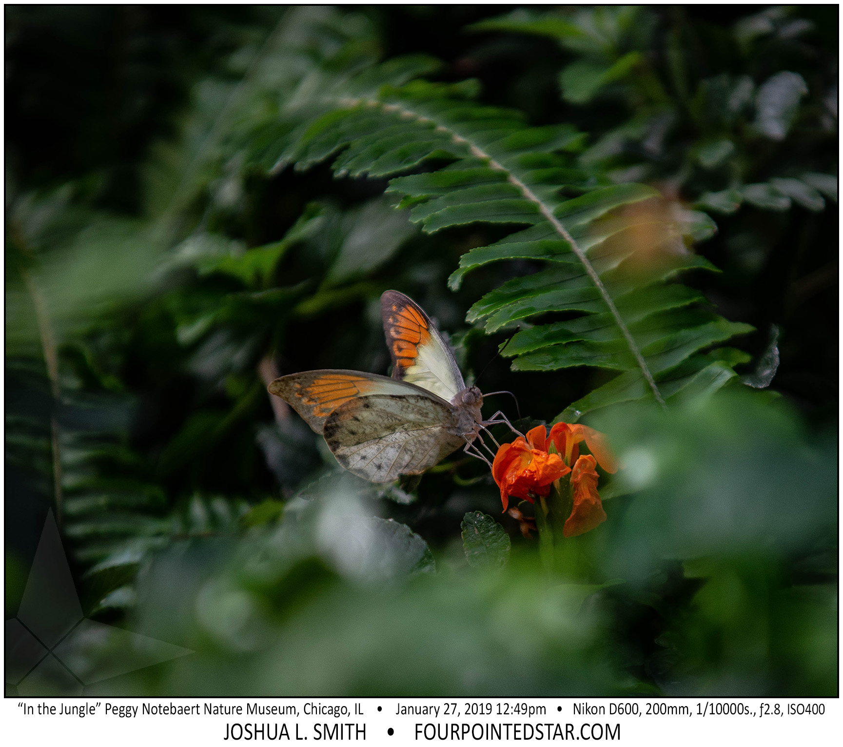 AY4275 190127 124958