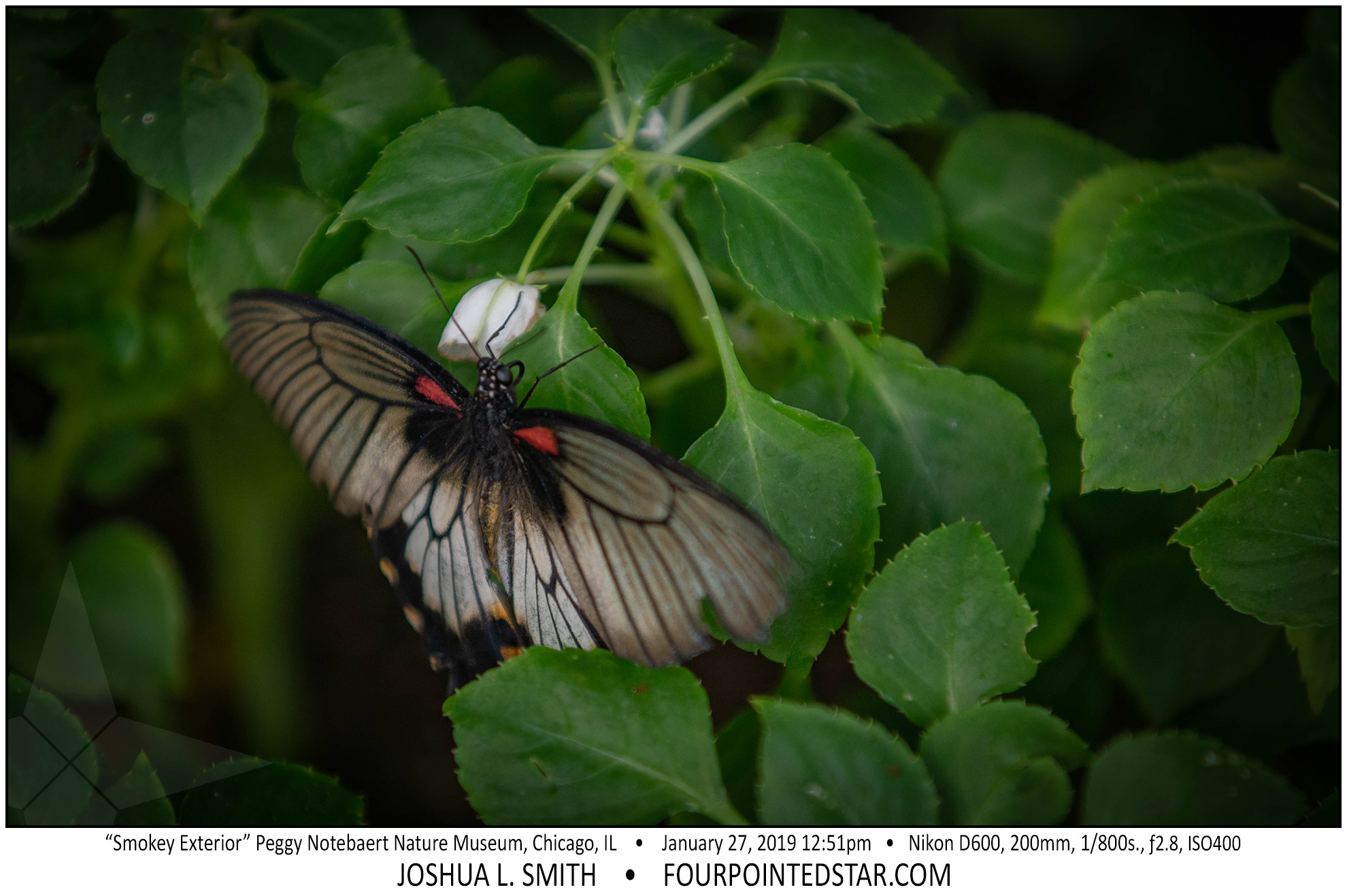 AY4297 190127 125111