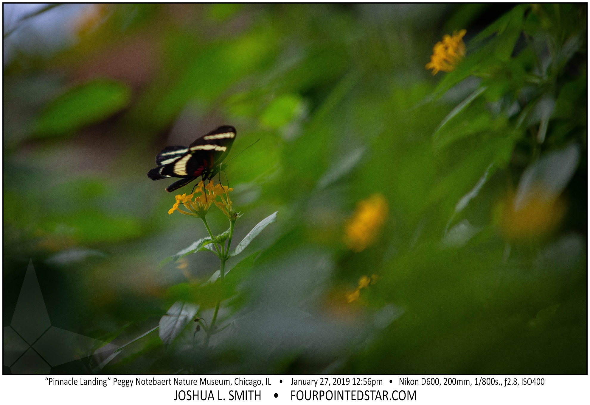 AY4342 190127 125608