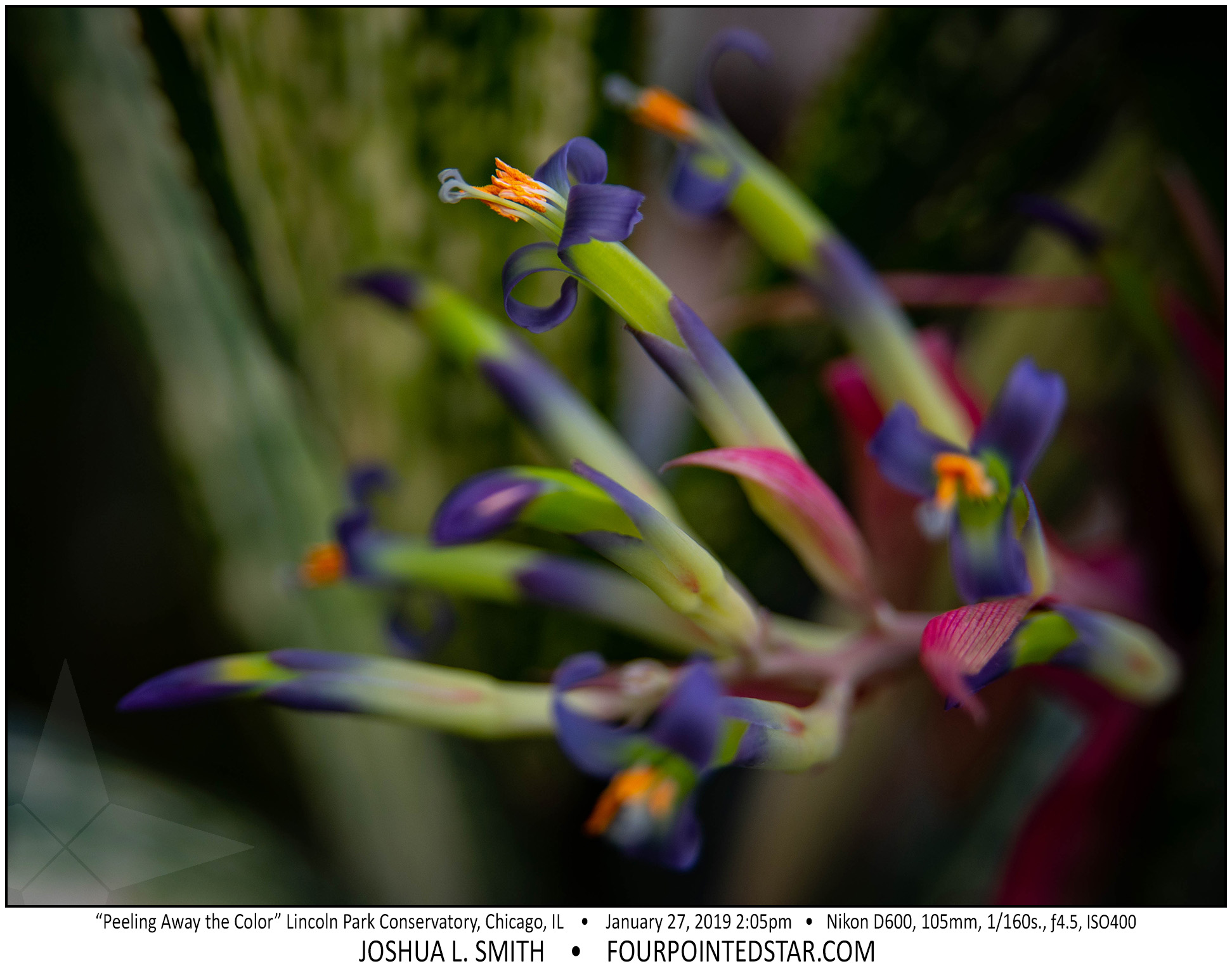 AY4798 190127 140522