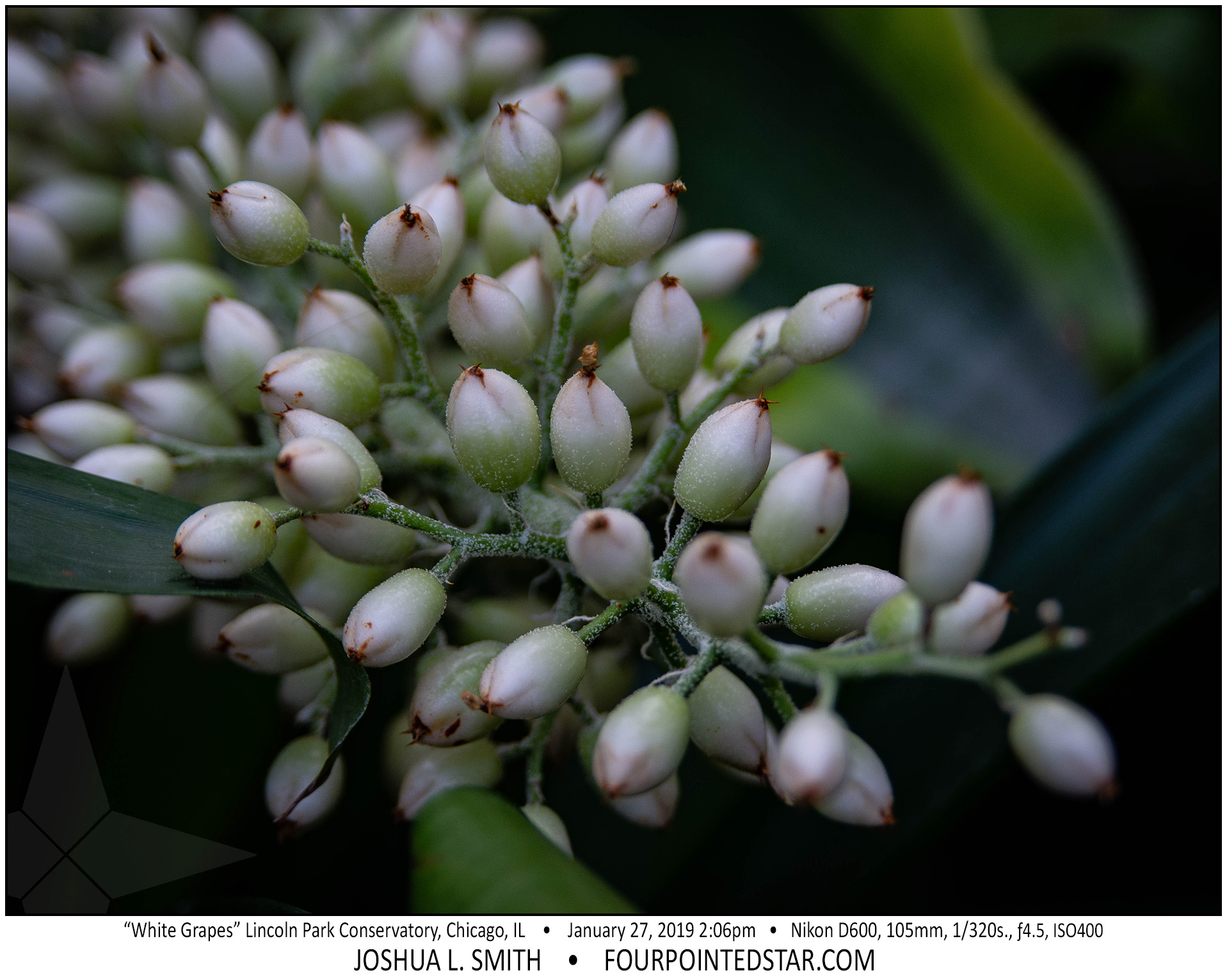 AY4810 190127 140612