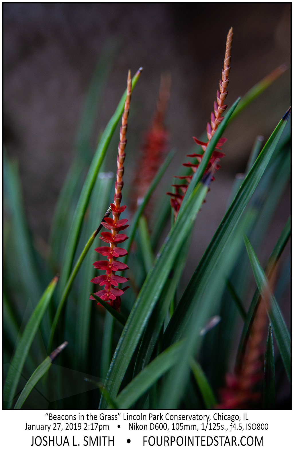 AY4966 190127 141747