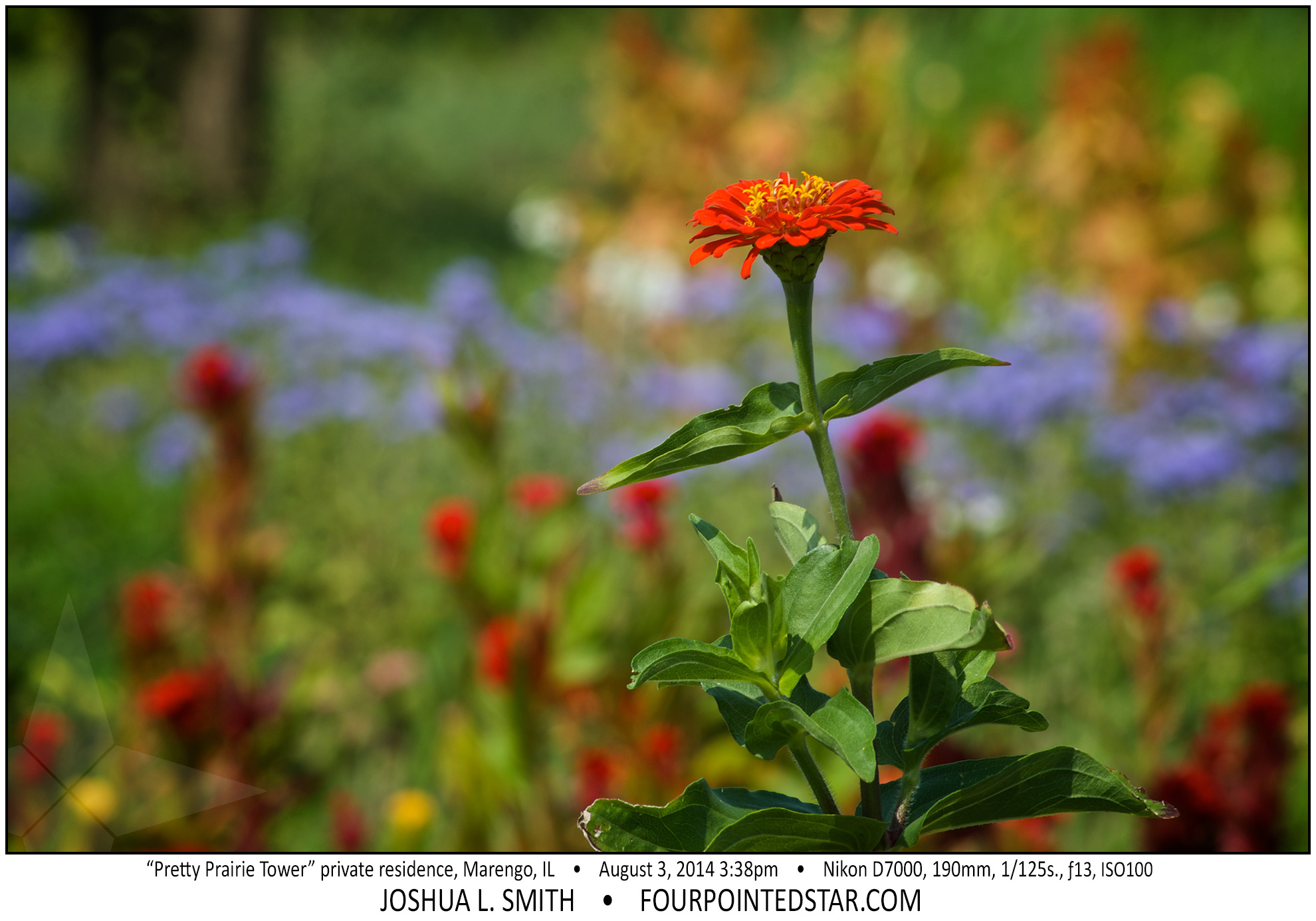 AB8758 141115 151529