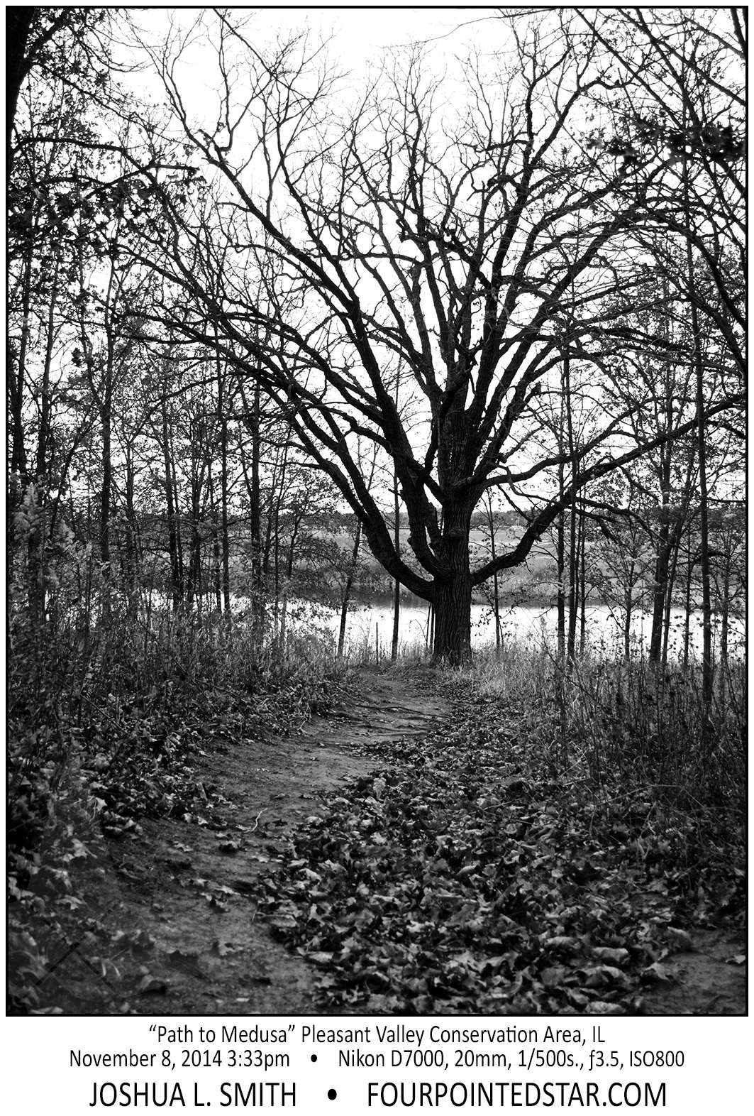 AC6083 141108 153319