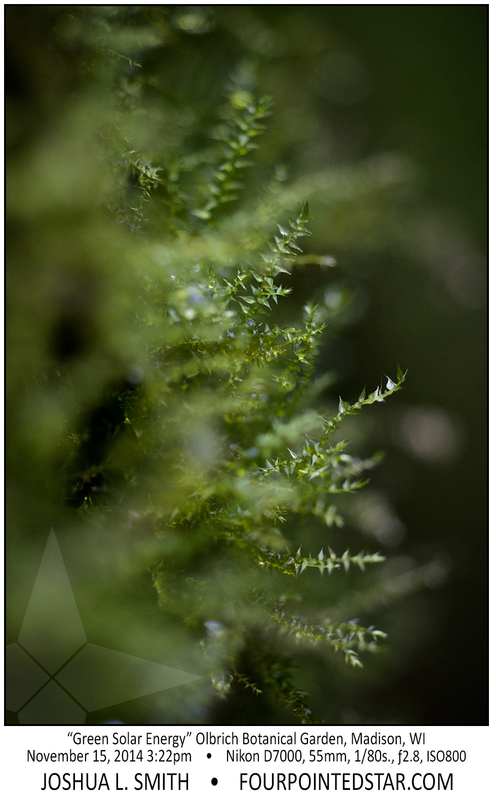 AC6252 141115 152225