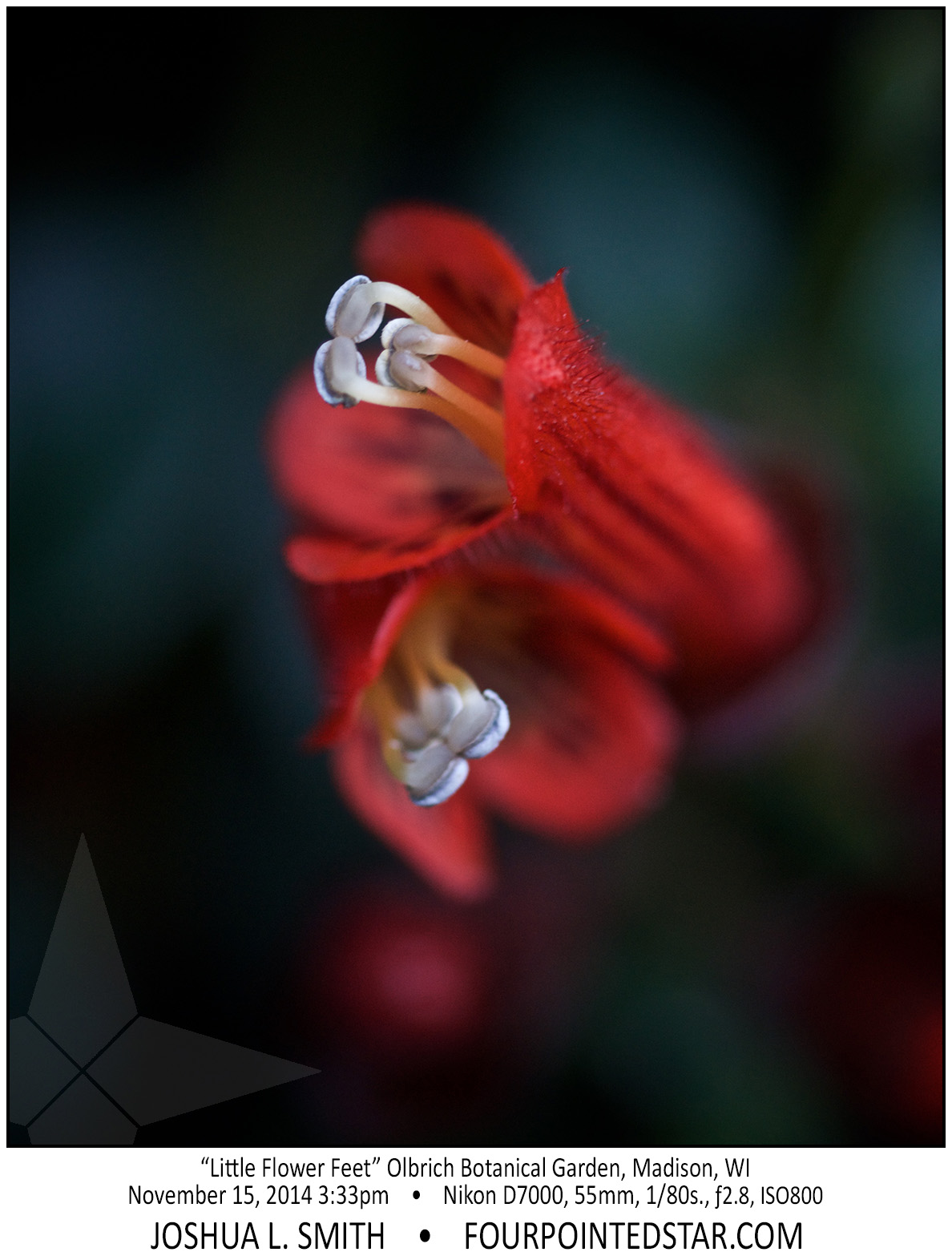 AC6297 141115 153300