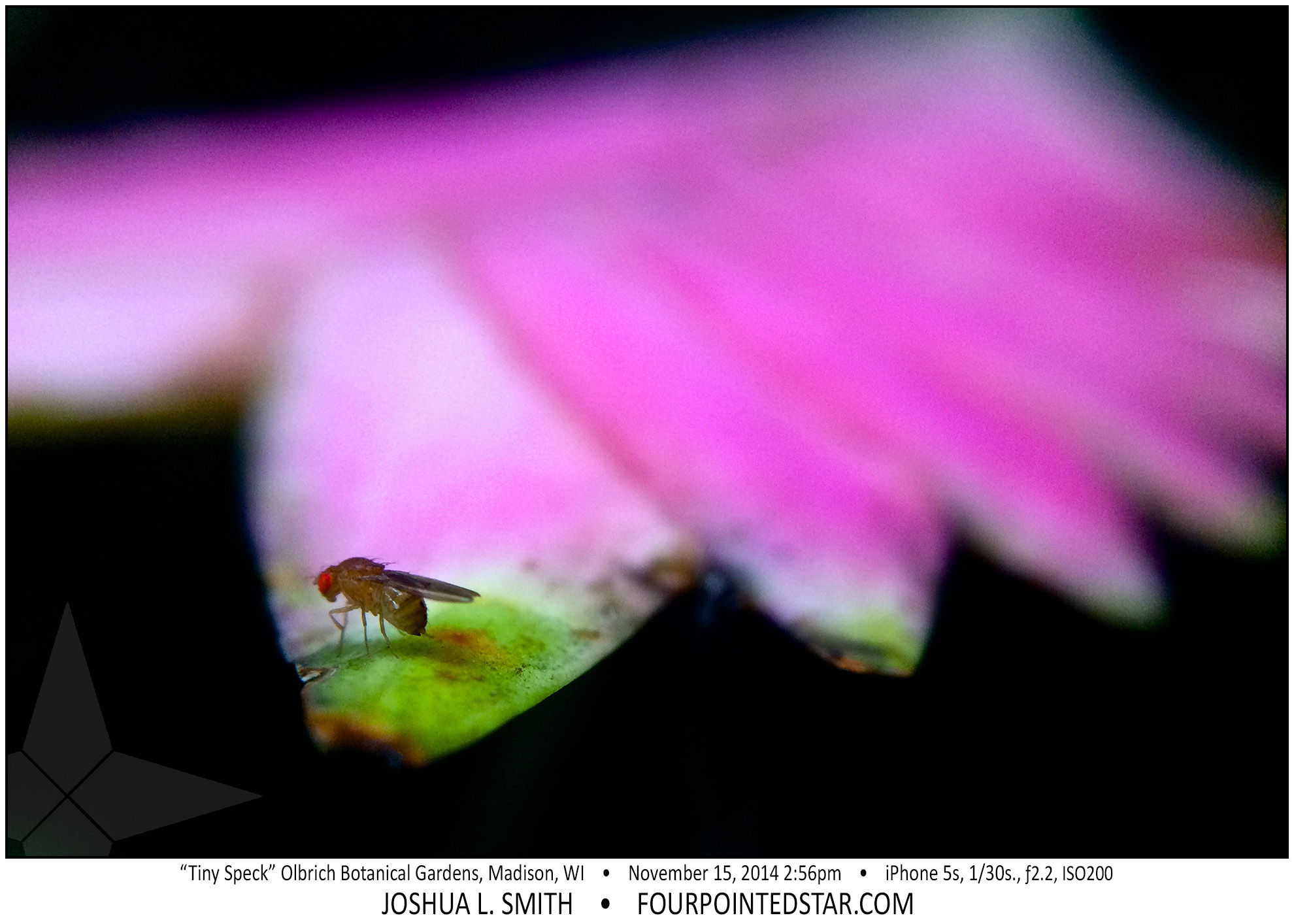 AD1135 141115 145620