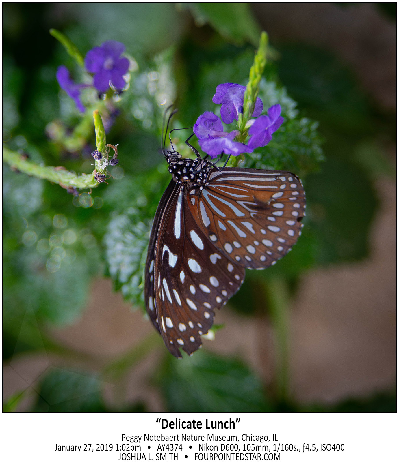 AY4374 190127 130234