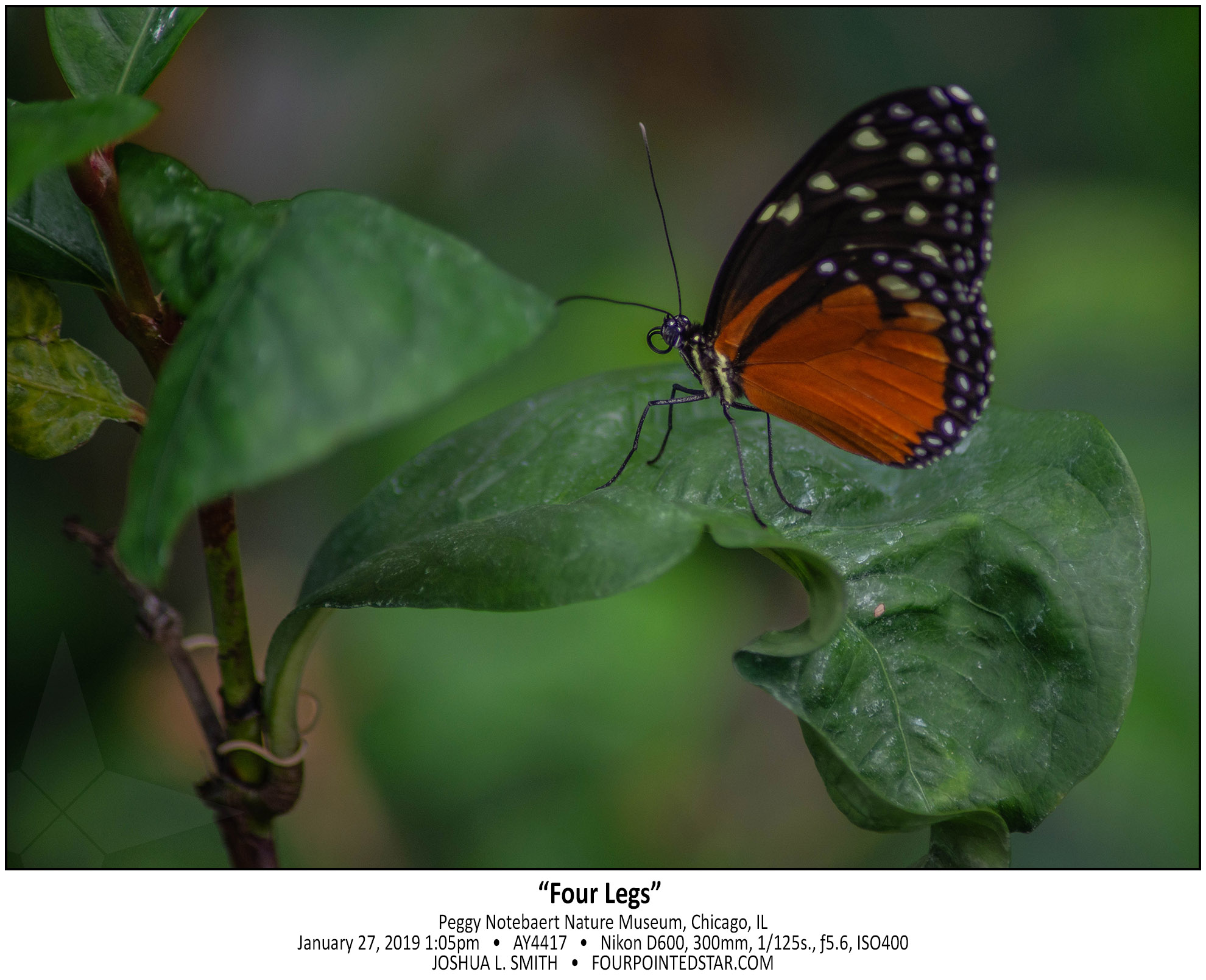 AY4417 190127 130535