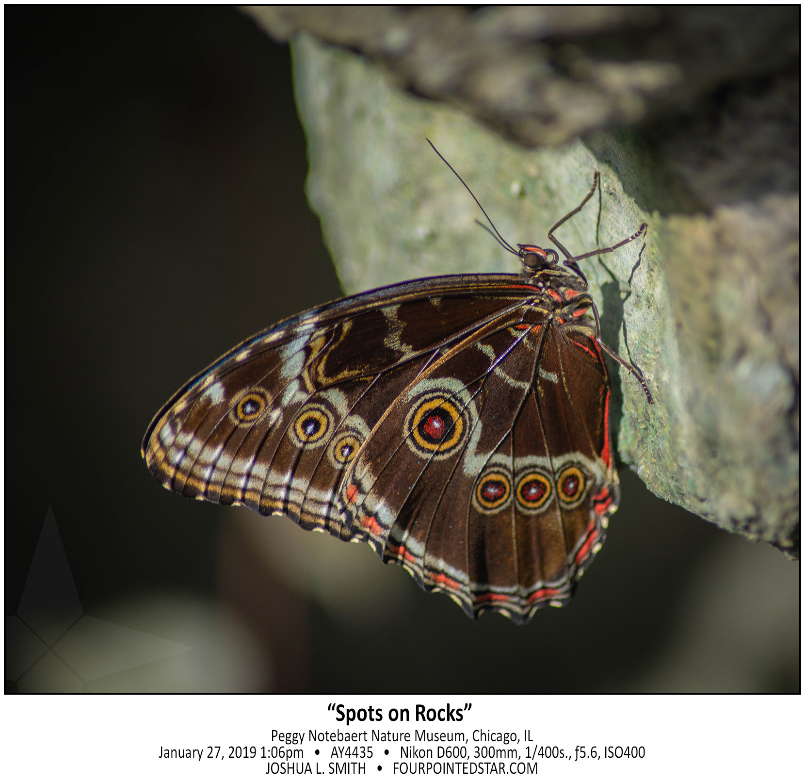 AY4435 190127 130654