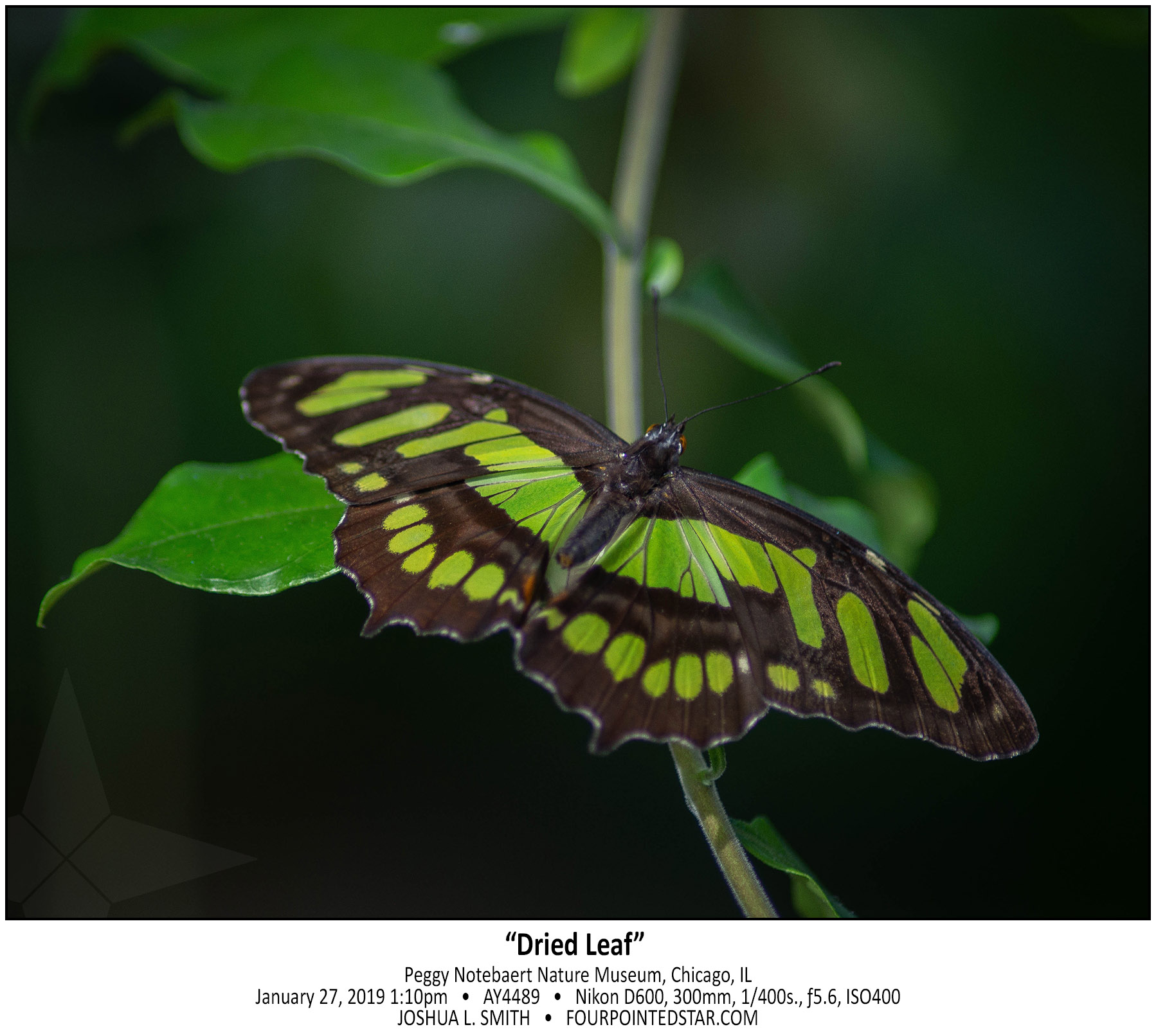 AY4489 190127 131033