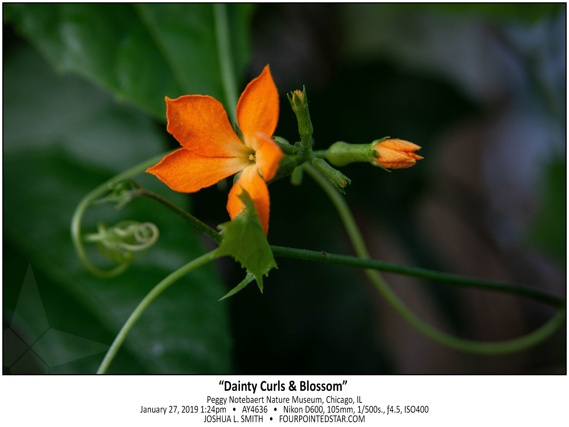 AY4636 190127 132440