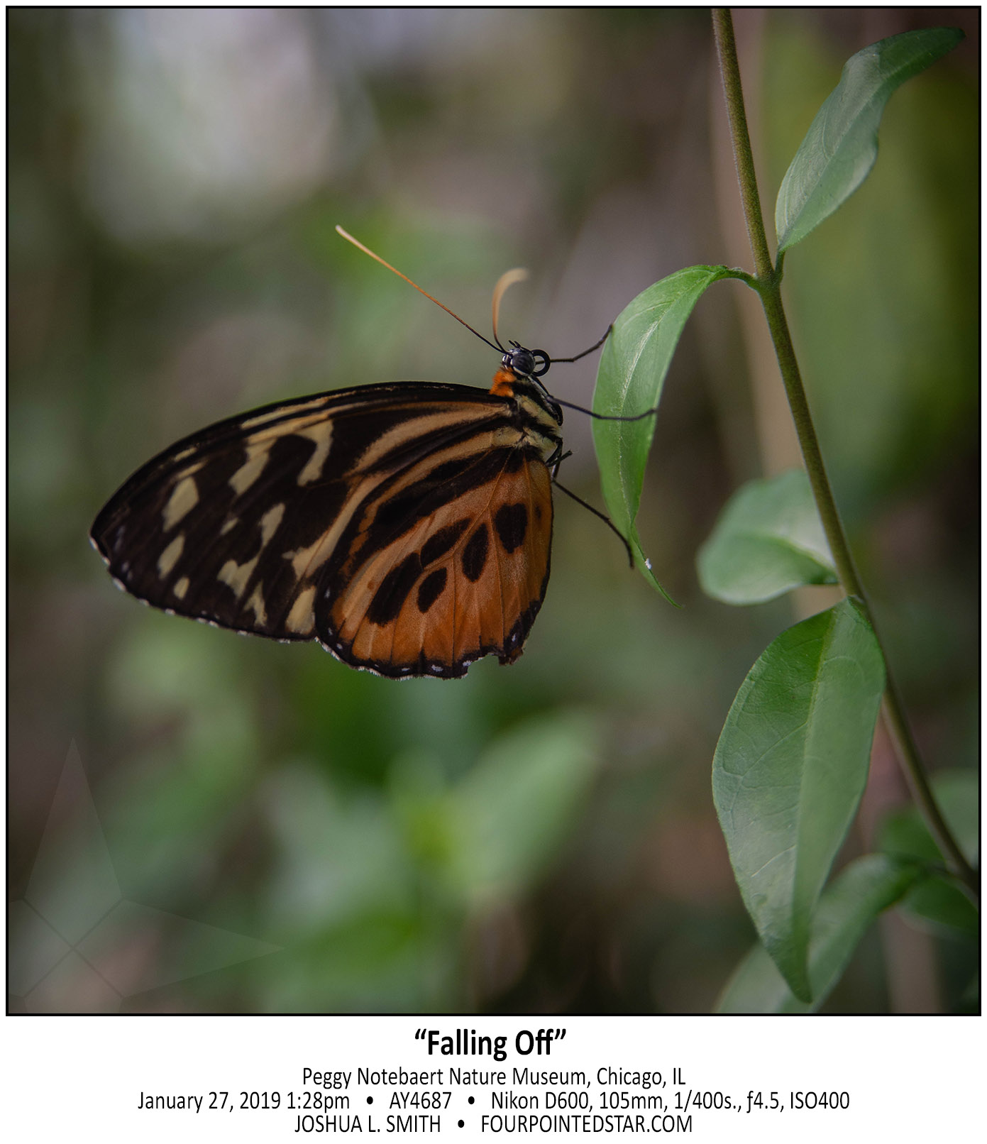 AY4687 190127 132833