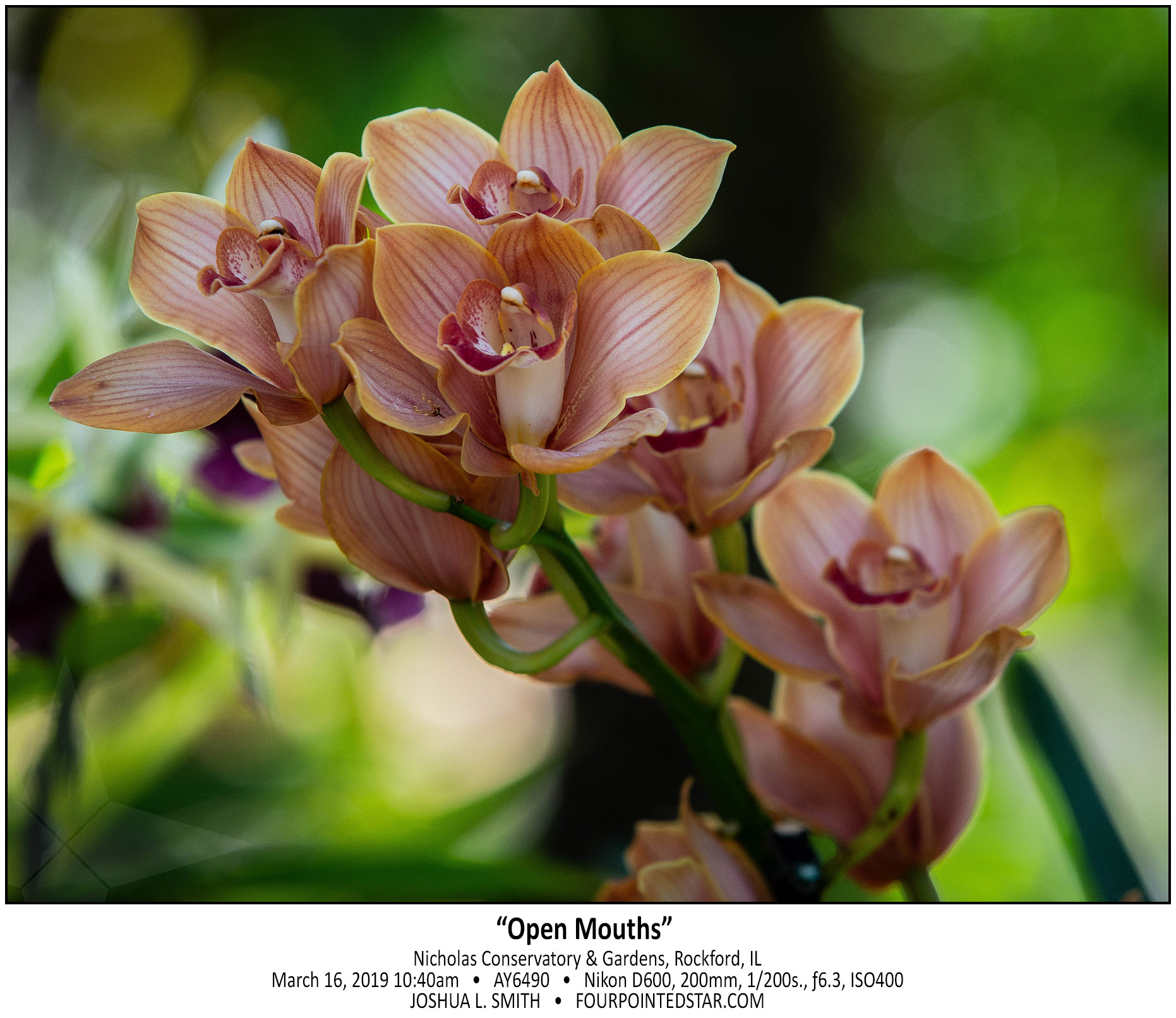 AY6490 190316 104013