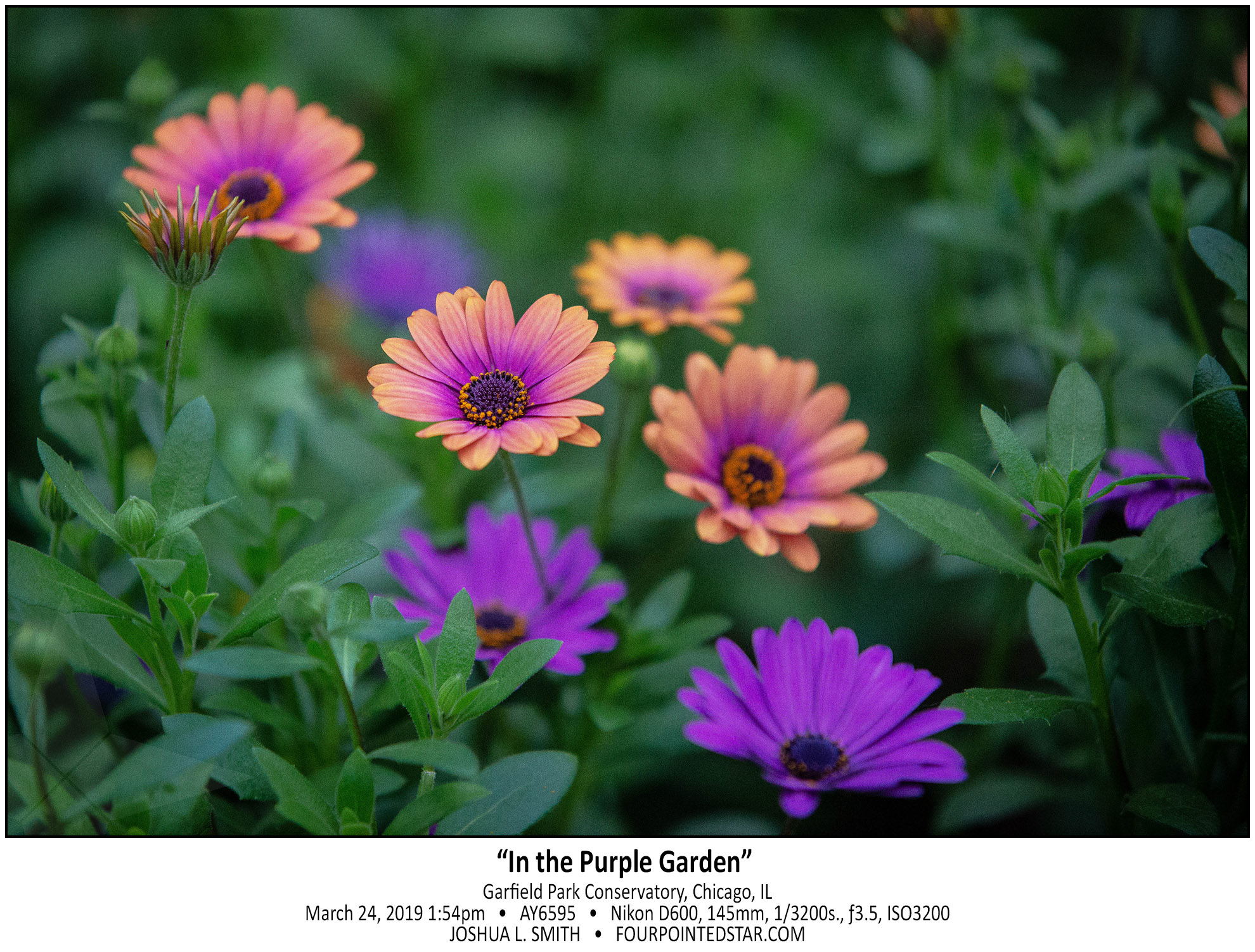 AY6595 190324 135401