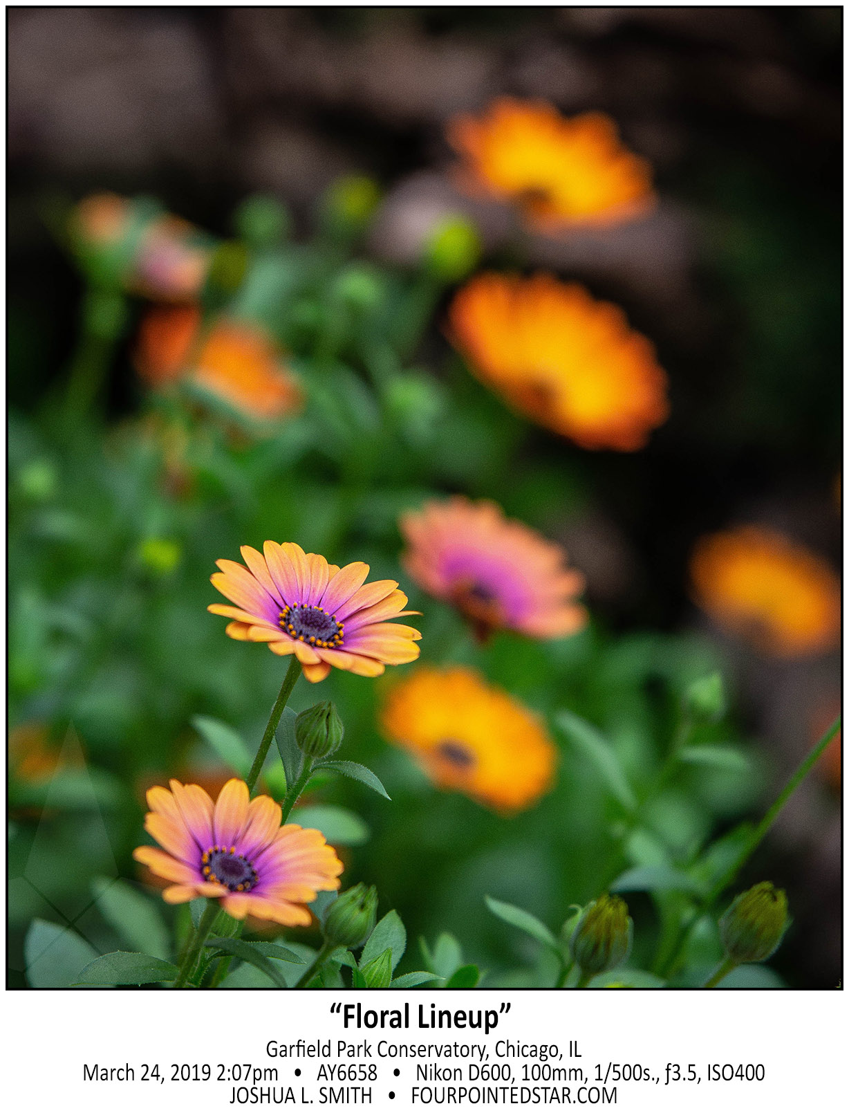 AY6658 190324 140702