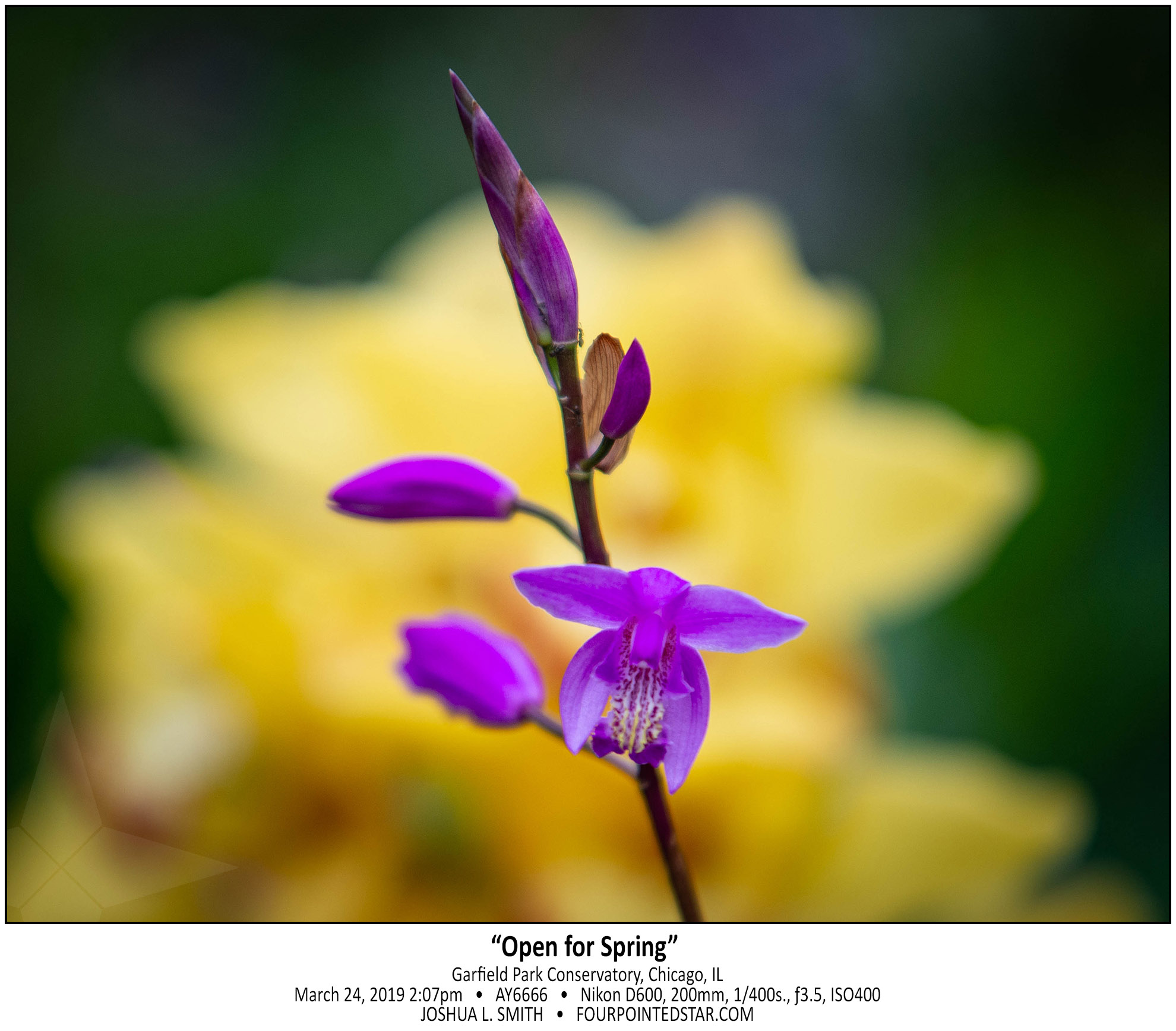 AY6666 190324 140752