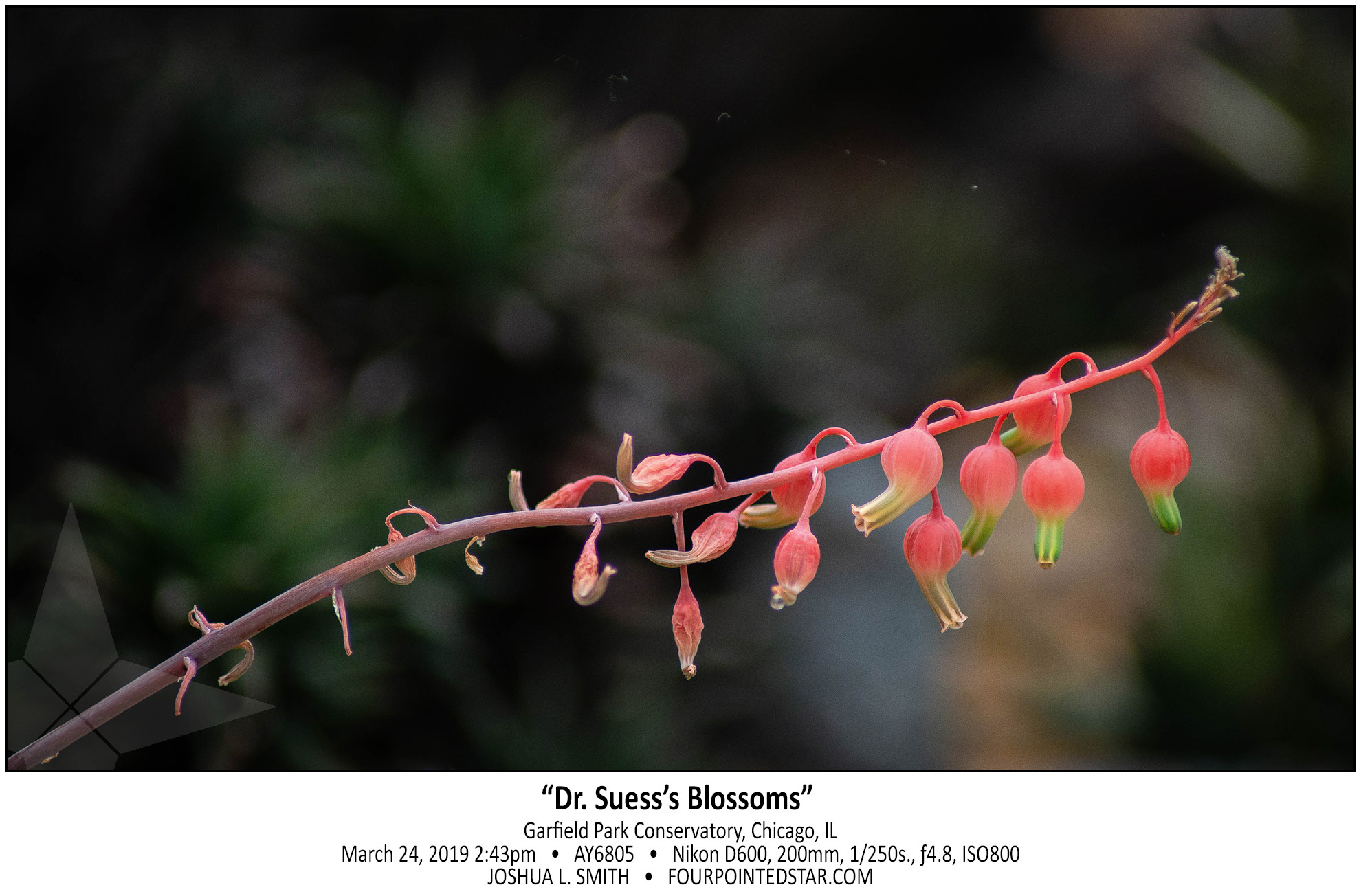 AY6805 190324 144321