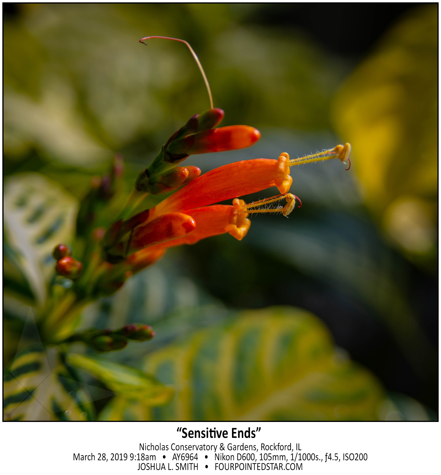 AY6964 190328 091846