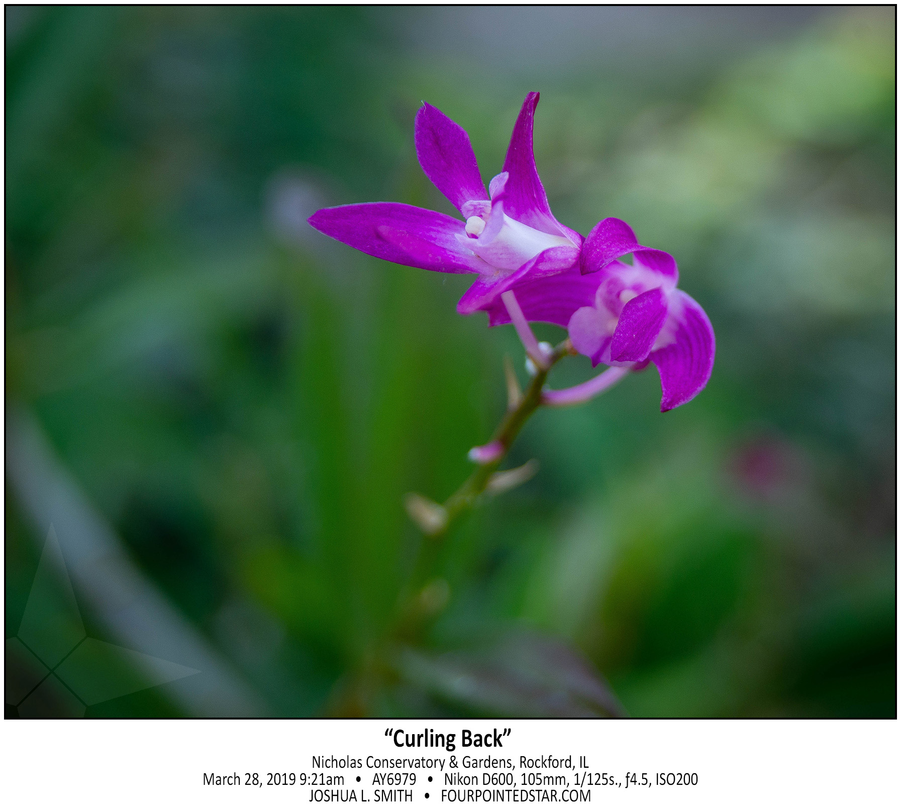 AY6979 190328 092109