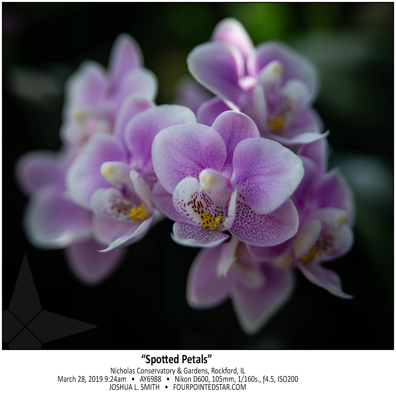 AY6988 190328 092400