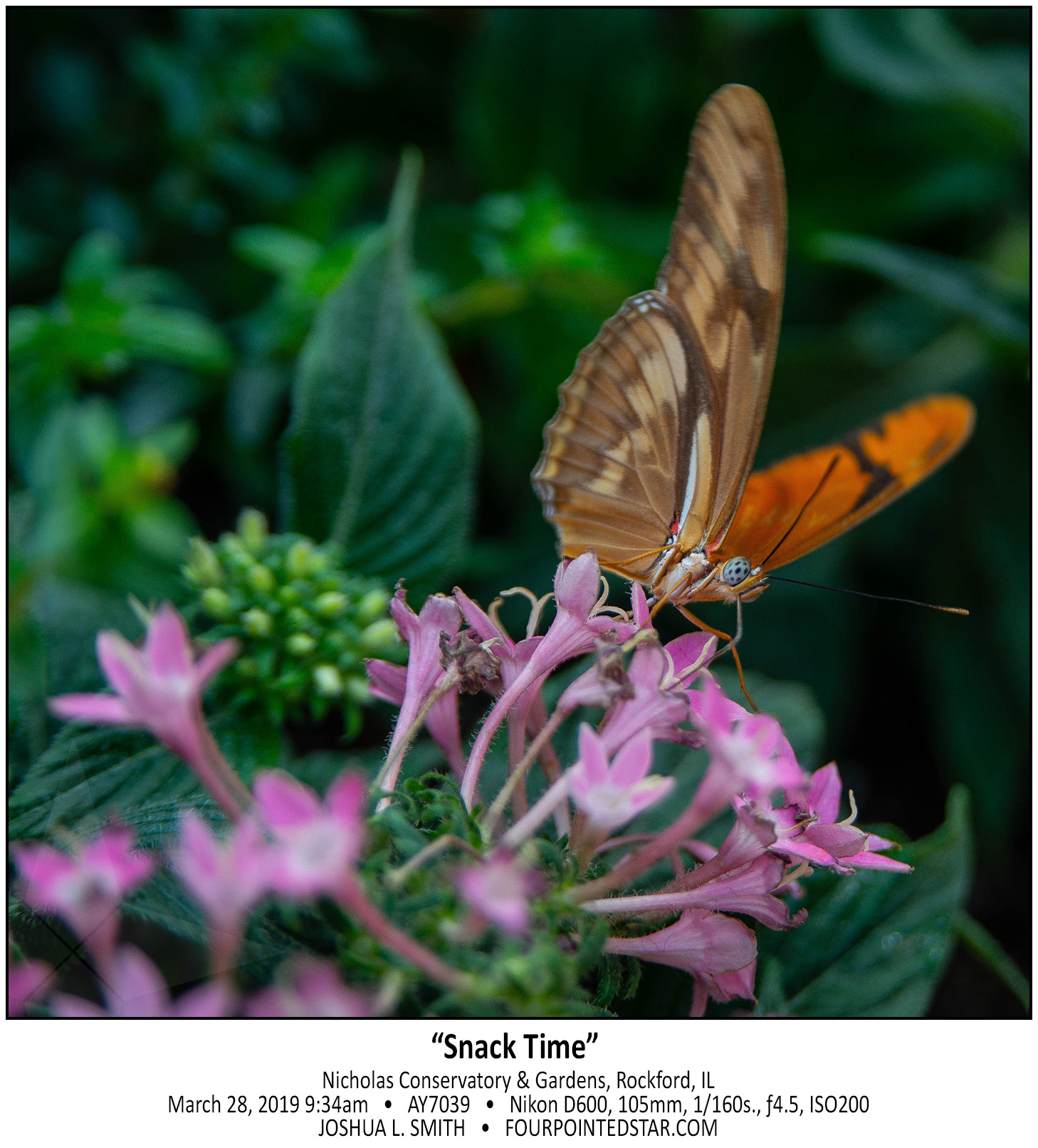 AY7039 190328 093404