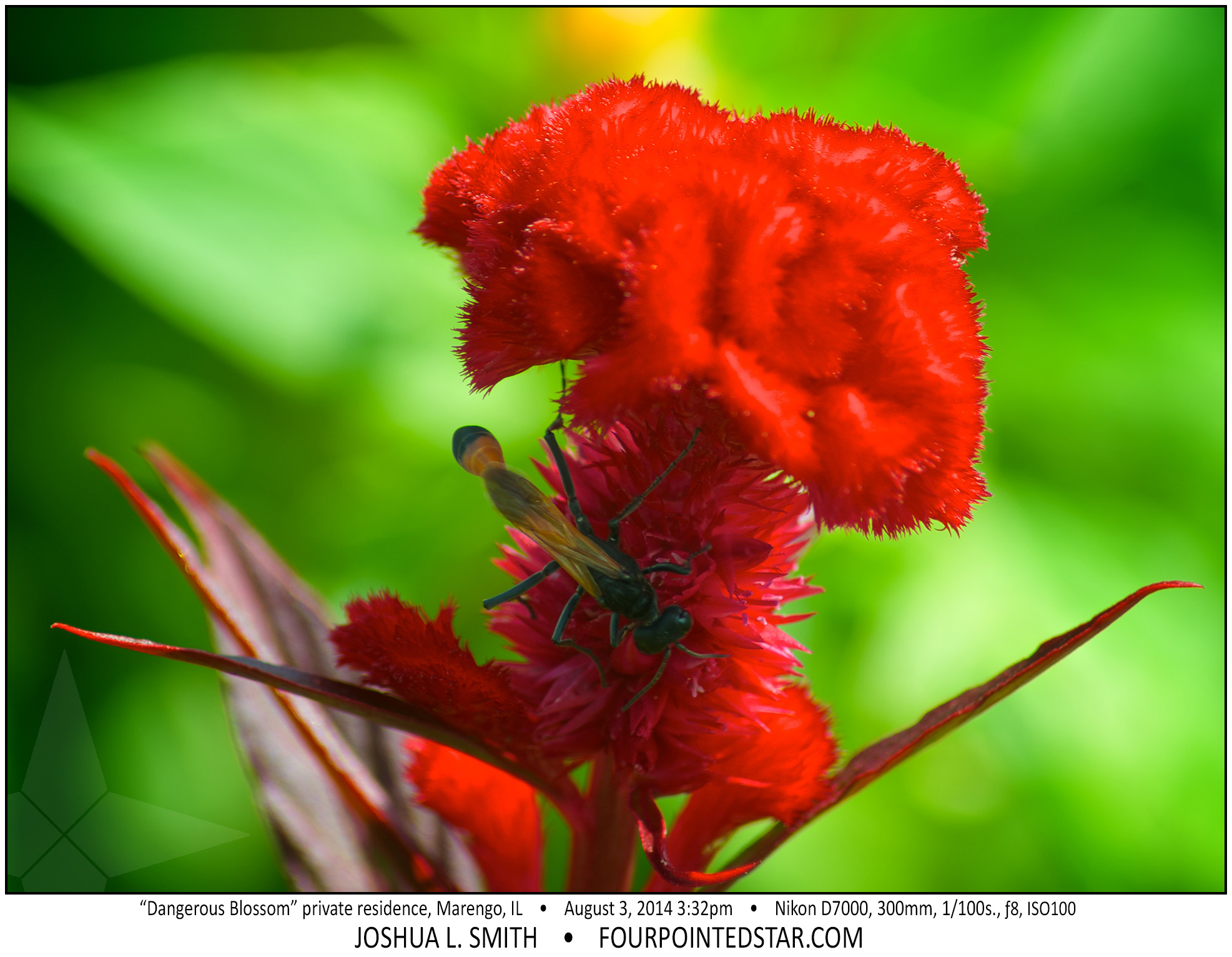 AB8729 140803 153201