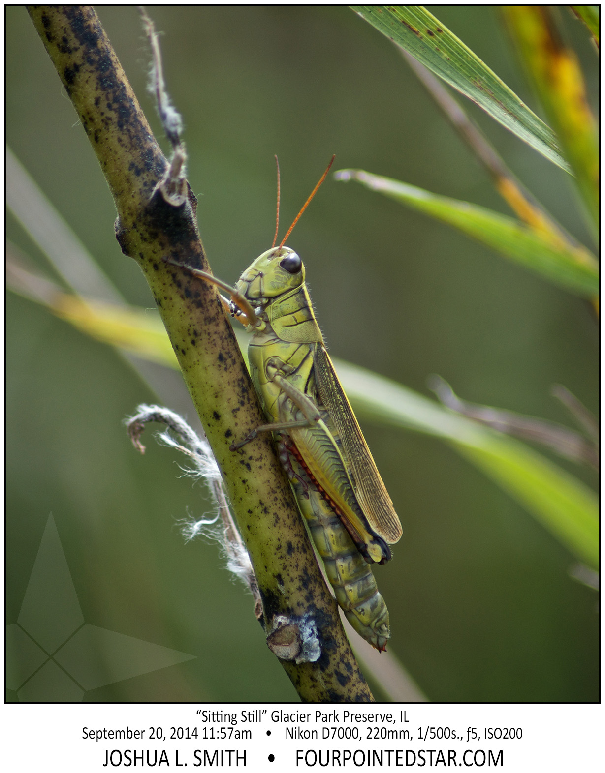 AC4323 140920 115720