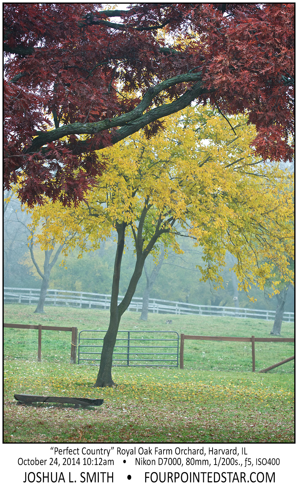 AC5566 141024 101236