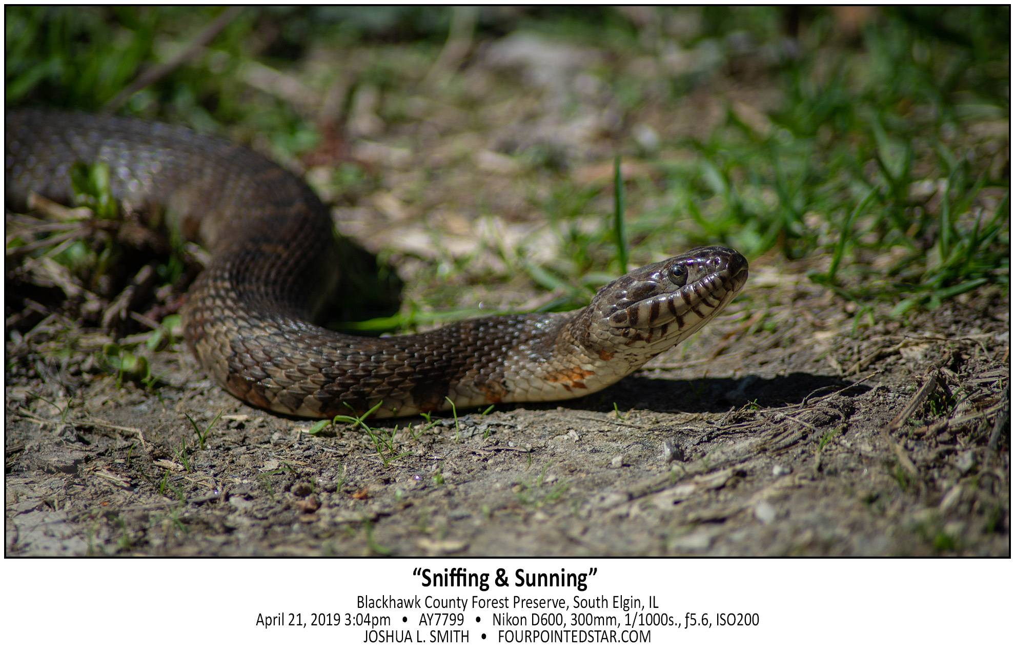 AY7799 190421 150428