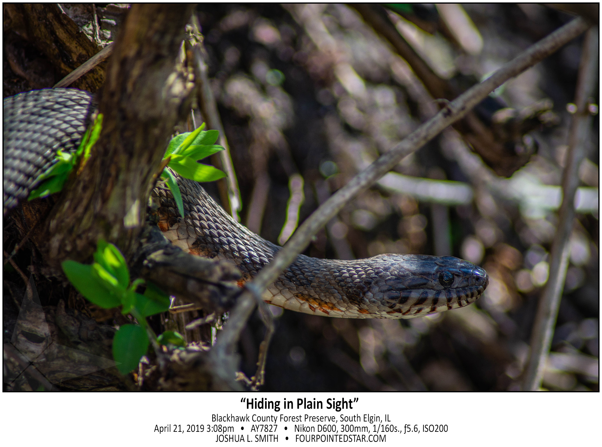 AY7827 190421 150821