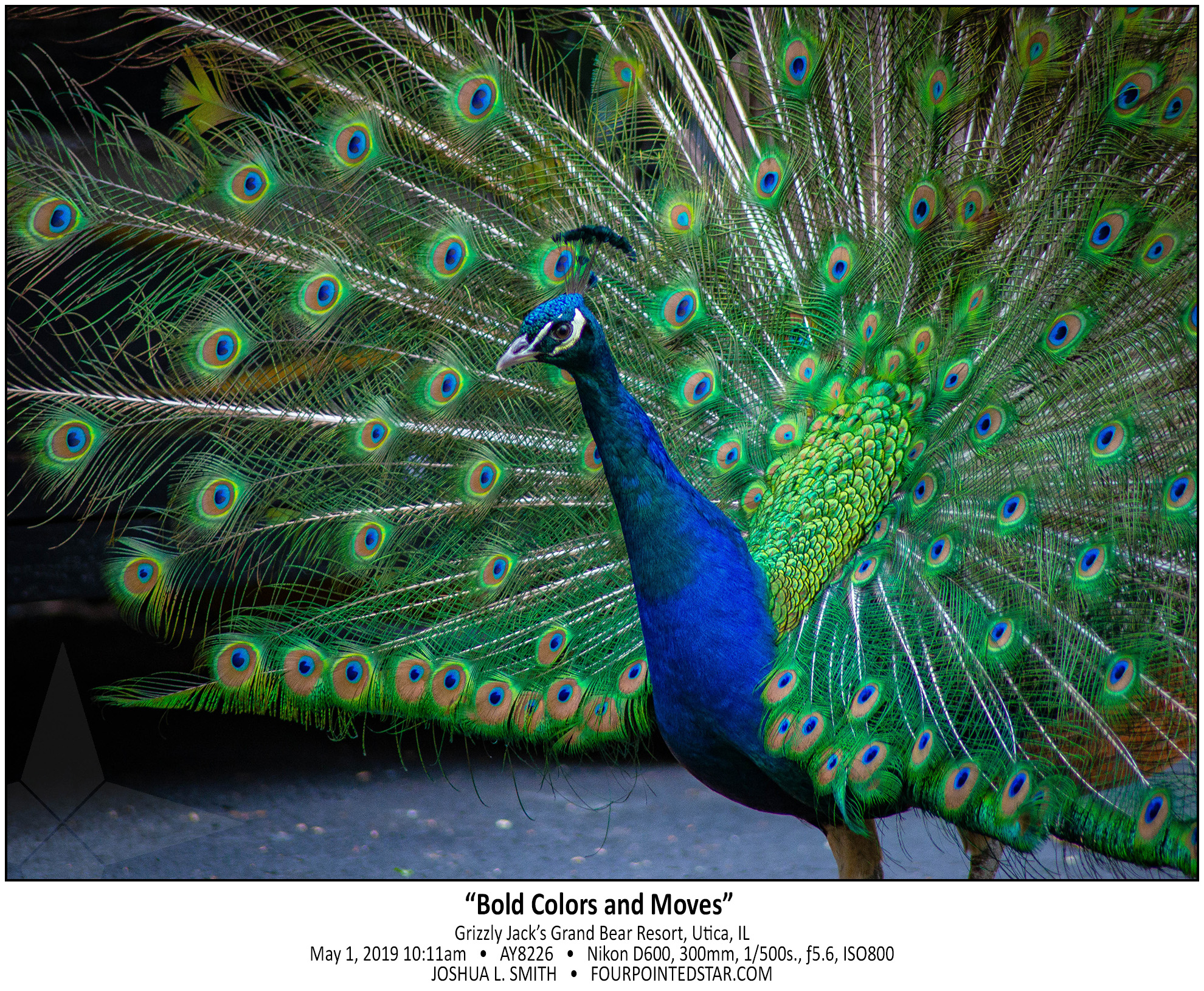 AY8226 190511 101116