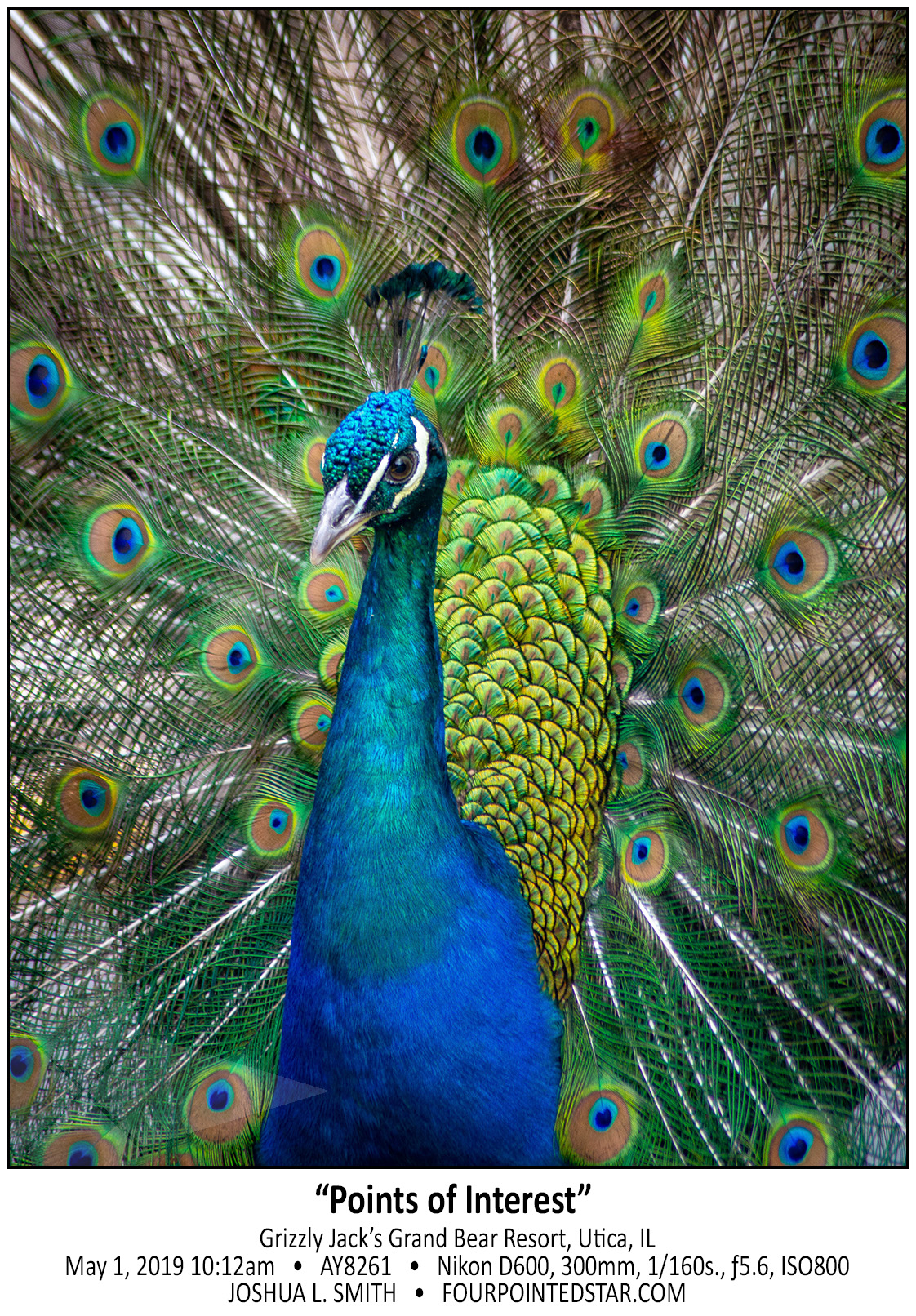 AY8261 190511 101217