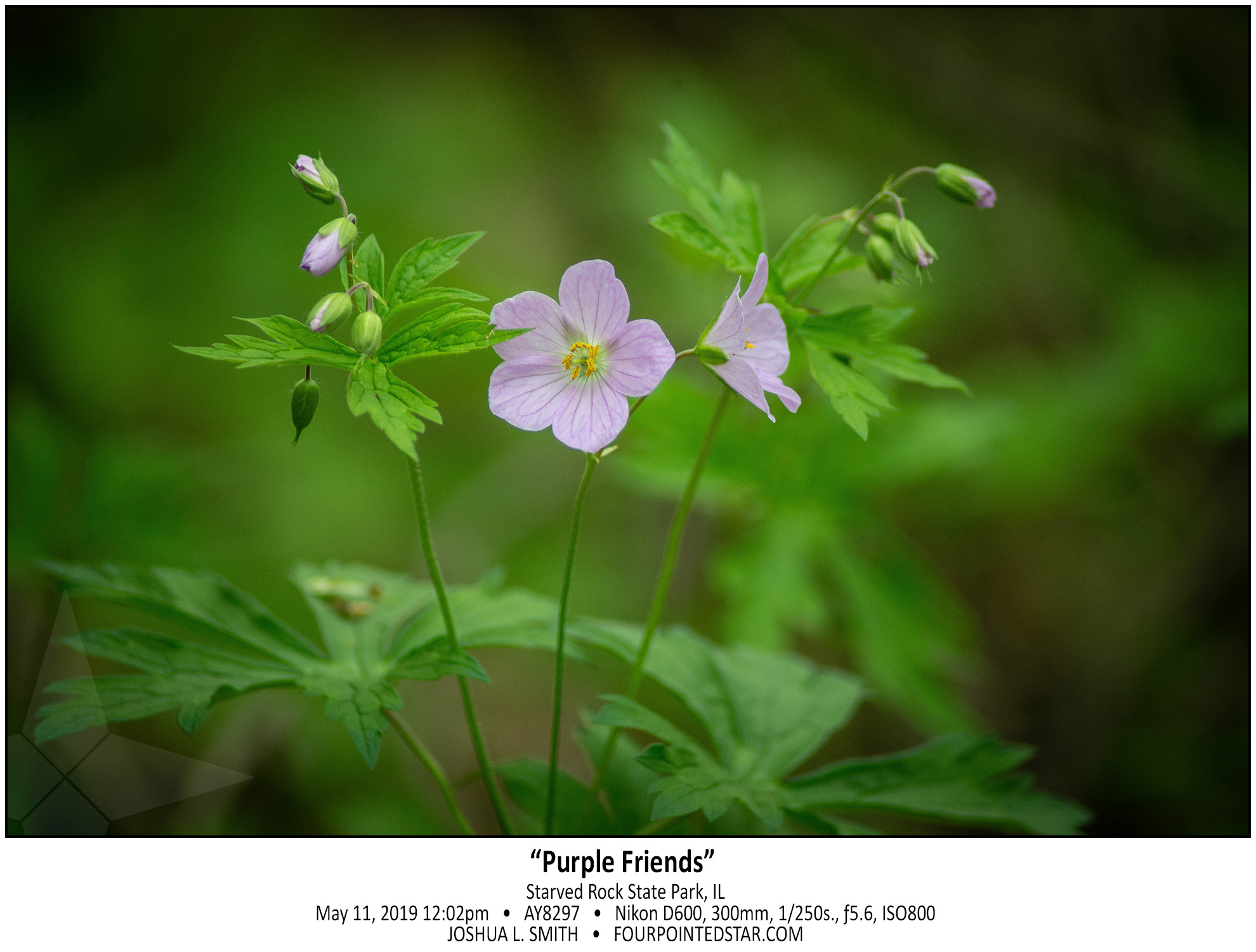 AY8297 190511 120250