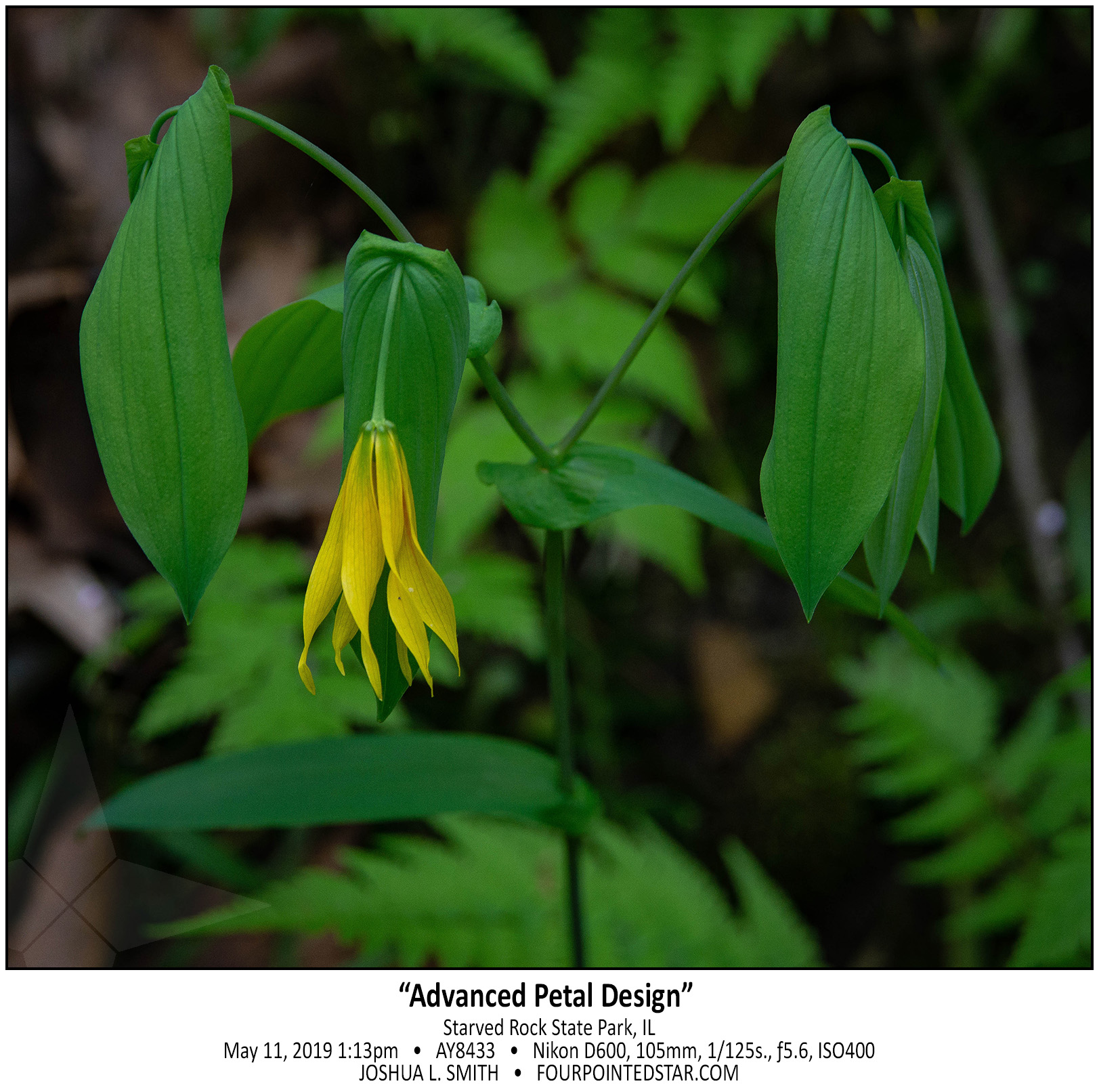 AY8433 190511 131348