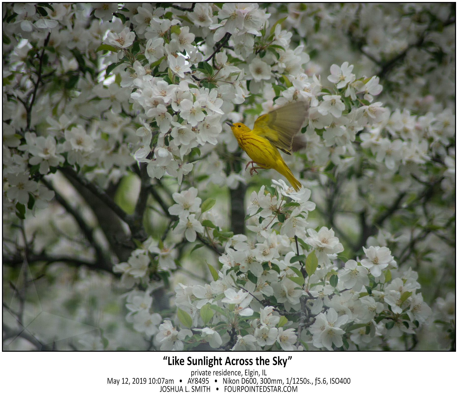 AY8495 190512 100716